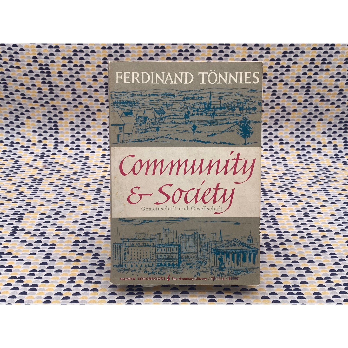 Community & Society - Ferdinand Tonnies - Harper Torchbooks - Paperback