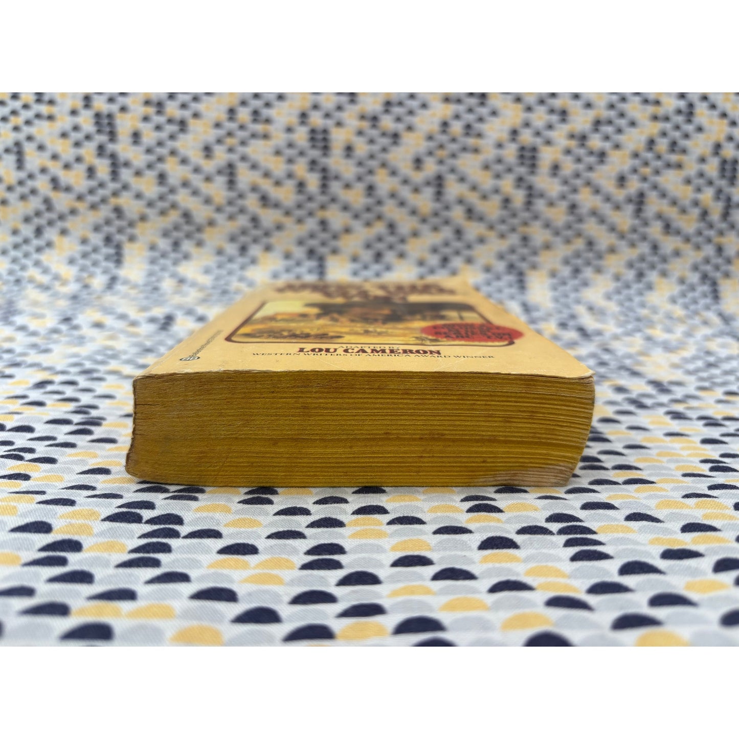 How The West Won - Lou Cameron - Ballantine - Paperback