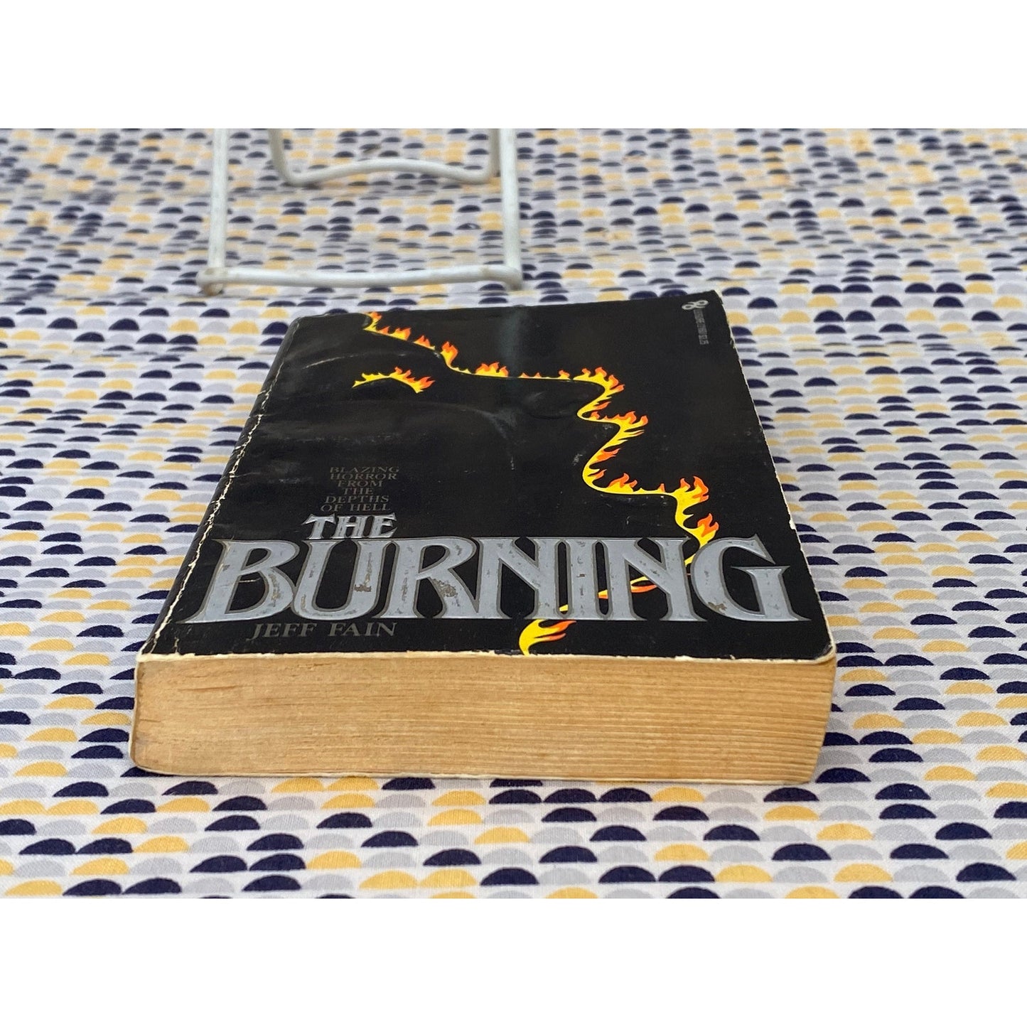 The Burning - Jeff Fain - Vintage Paperback Book - Leisure Books Edition