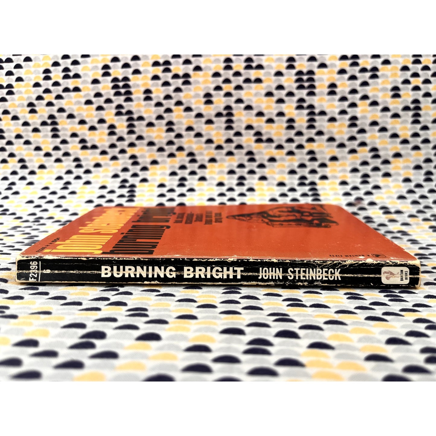 Burning Bright - John Steinbeck - Vintage Paperback Book Bantam Books Edition