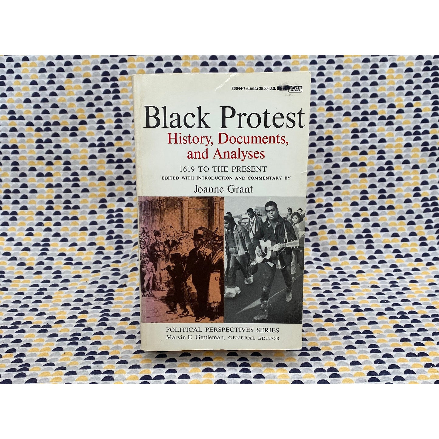 Black Protest - History, Documents, and Analyses - 1619 to Present- Joanne Grant