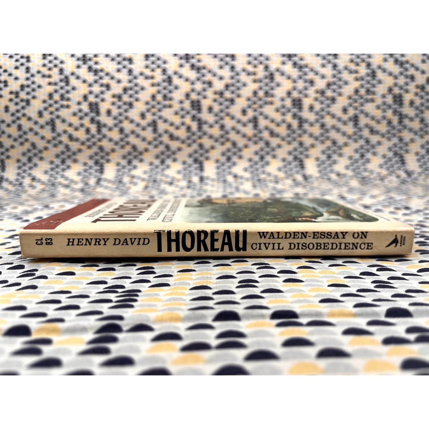 Walden-Essay on Civil Disobedience - Henry David Thoreau - Airmont Books - Paperback