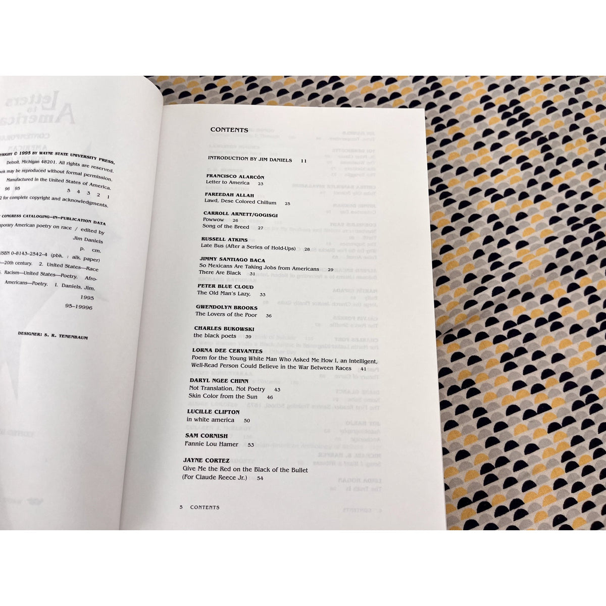 Letters to America: Contemporary American Poetry on Race - Ed. Jim Daniels - Wayne State Press - Paperback
