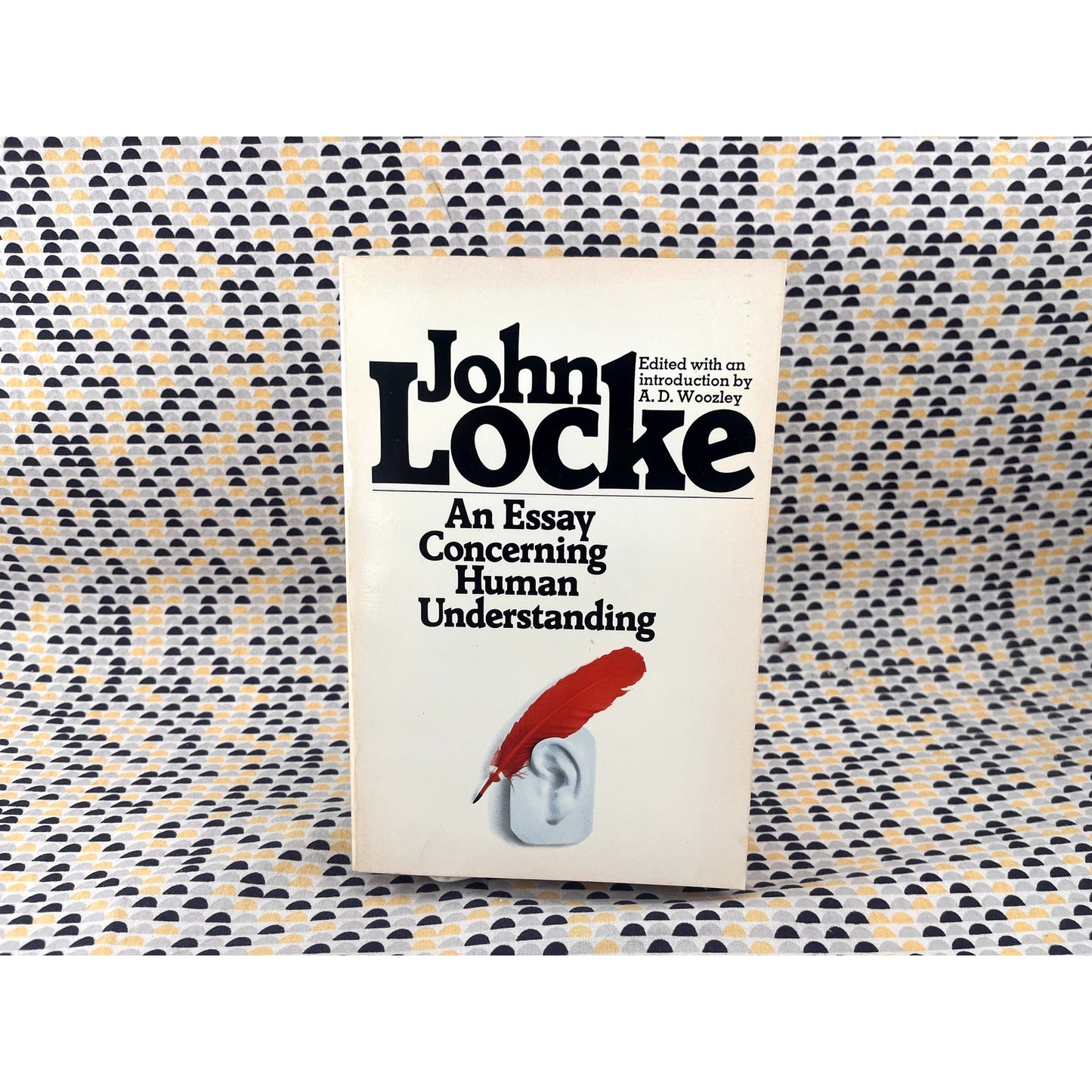 An Essay Concerning Human Understanding - John Locke - Merdian Books - Paperback