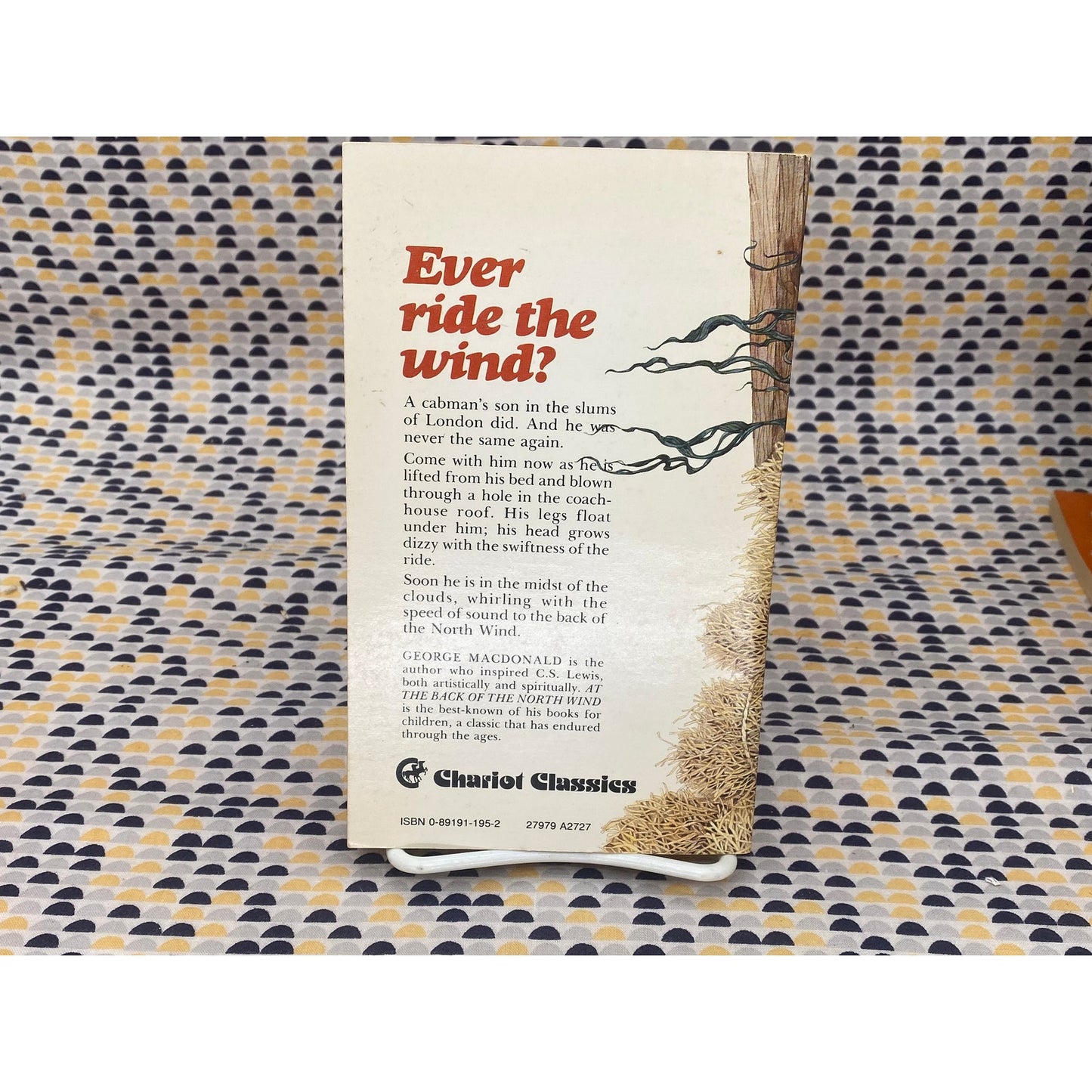 At The Back Of The North Wind - George MacDonald - Vintage Paperback Book - Chariot Classics/David C. Cook Publishing Co. Edition