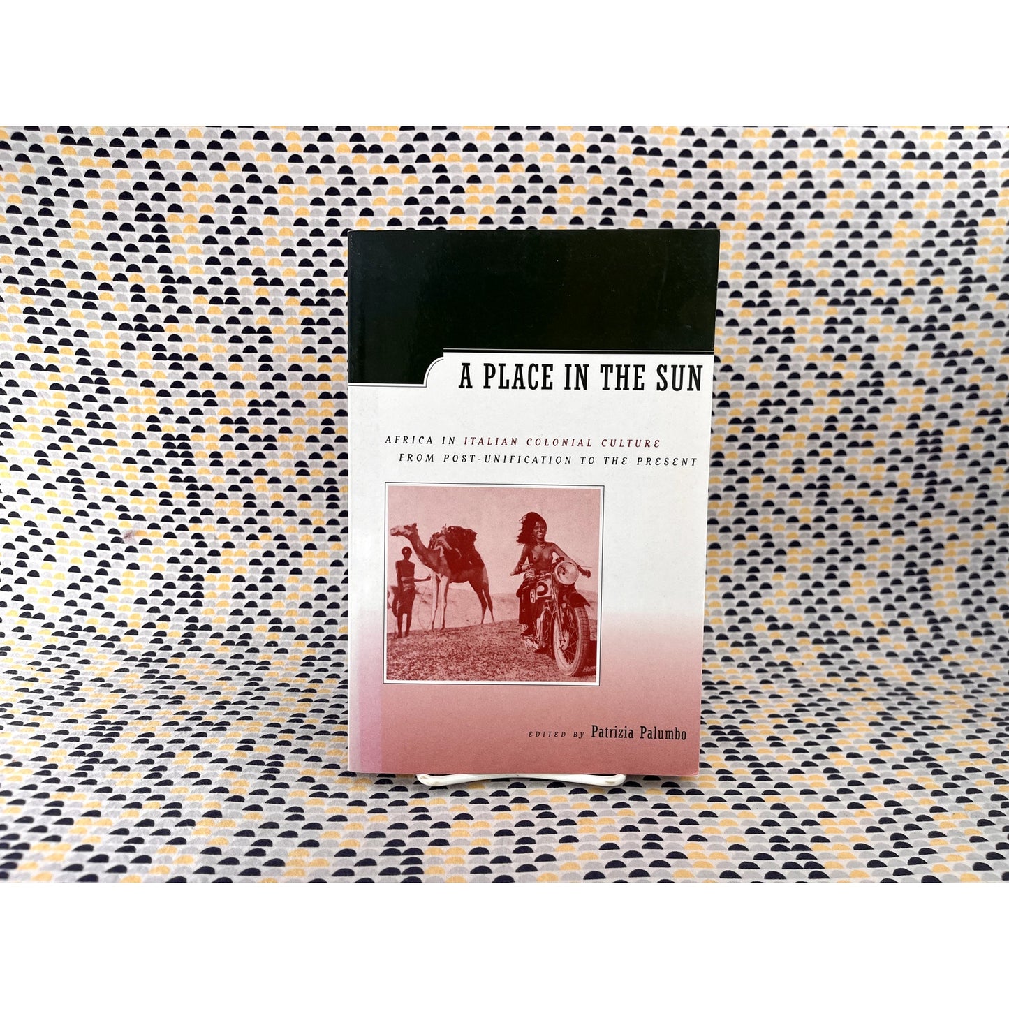 A Place in the Sun: Africa in Italian Colonial Culture From Post-Unification to the Present  - Ed. Patrizia Palumbo - University of California Press - Paperback