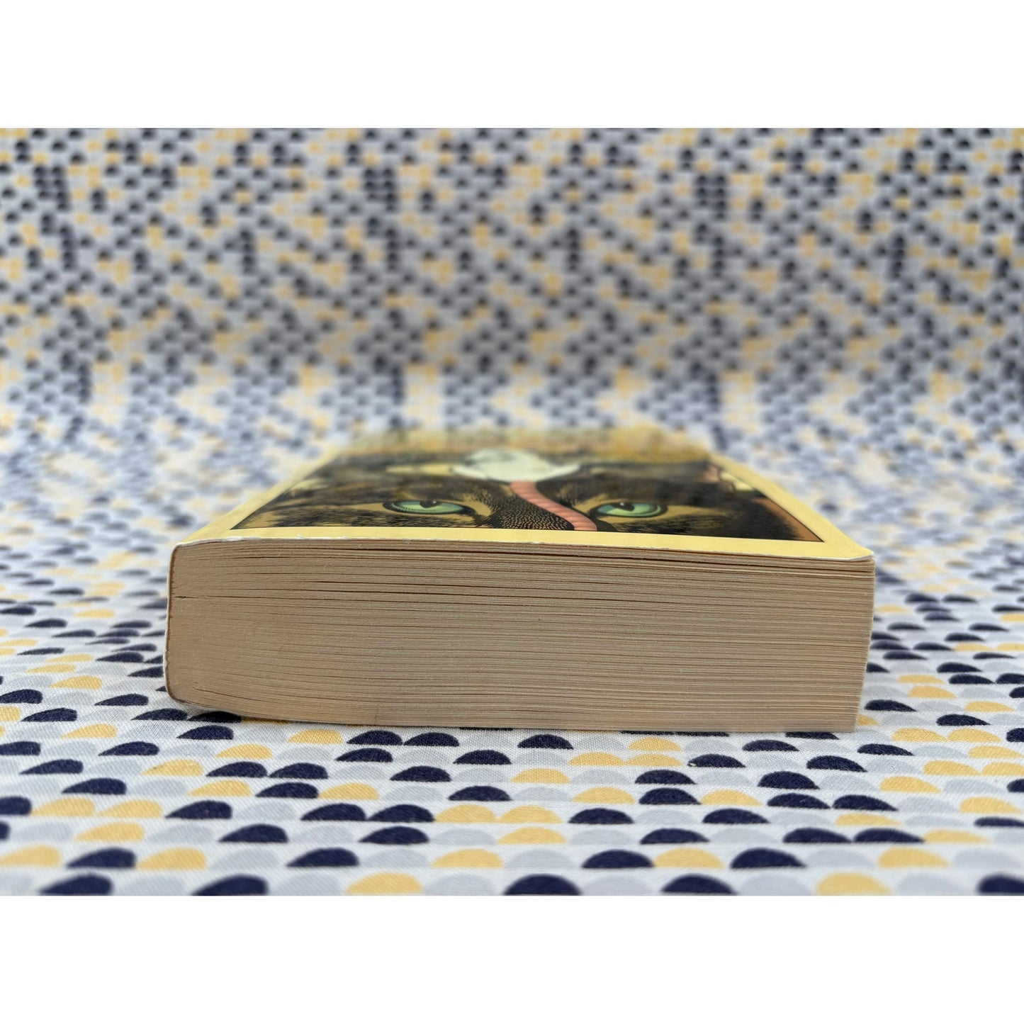 The Amazing Maurice And His Educated Rodents - Terry Pratchett - Harper - Paperback