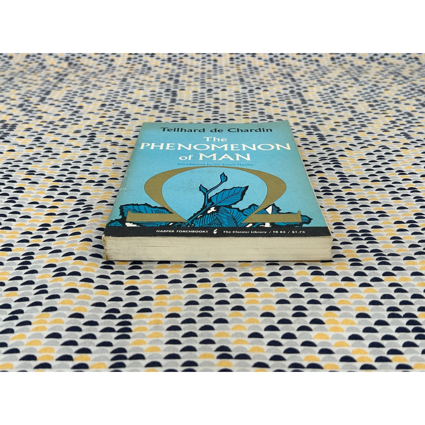 The Phenomenon Of Man - Pierre Teilhard de Chardin - Harper Torchbooks - Paperback
