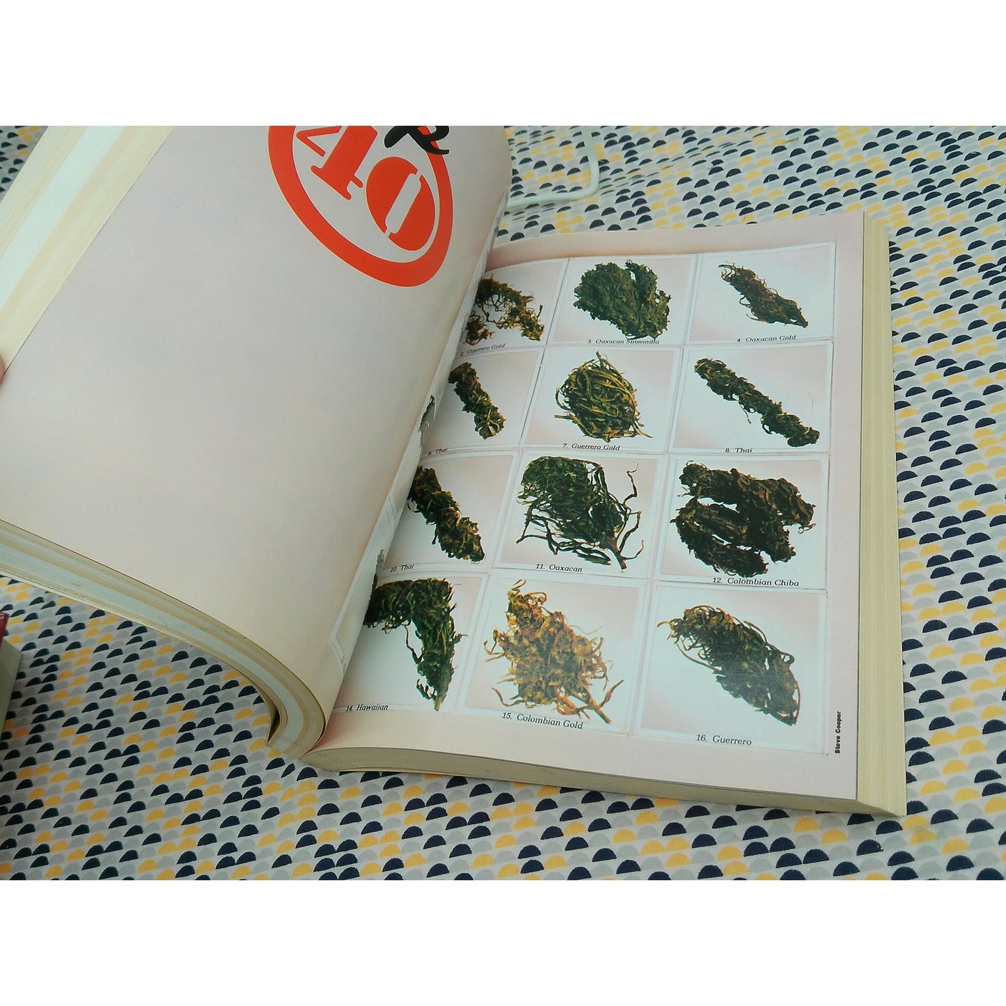 High Times Encyclopedia Of Recreational Drugs - Aldrich, Ashley and Horowitz
