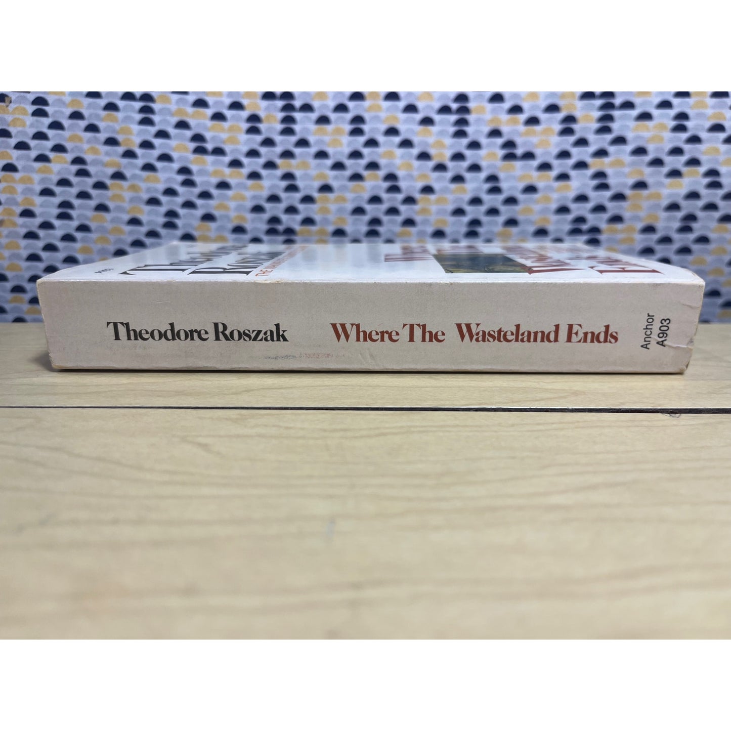 Where the Wasteland Ends - Theodore Roszak - Anchor Books - Paperback