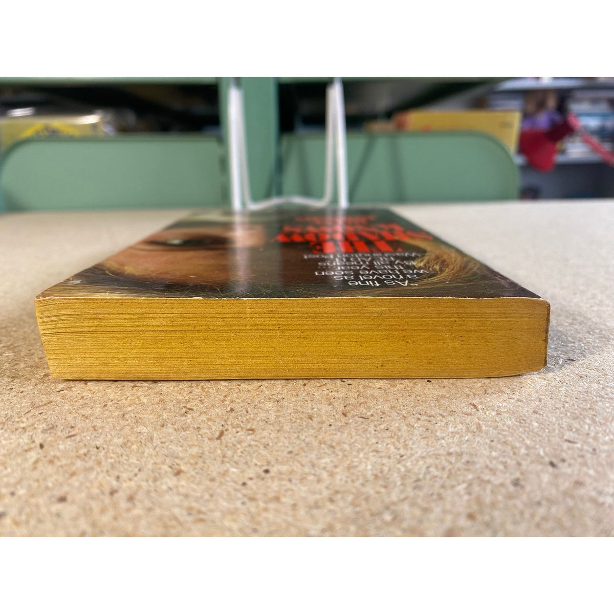 The Shadow Knows - Diane Johnson - Pocket Books - Paperback