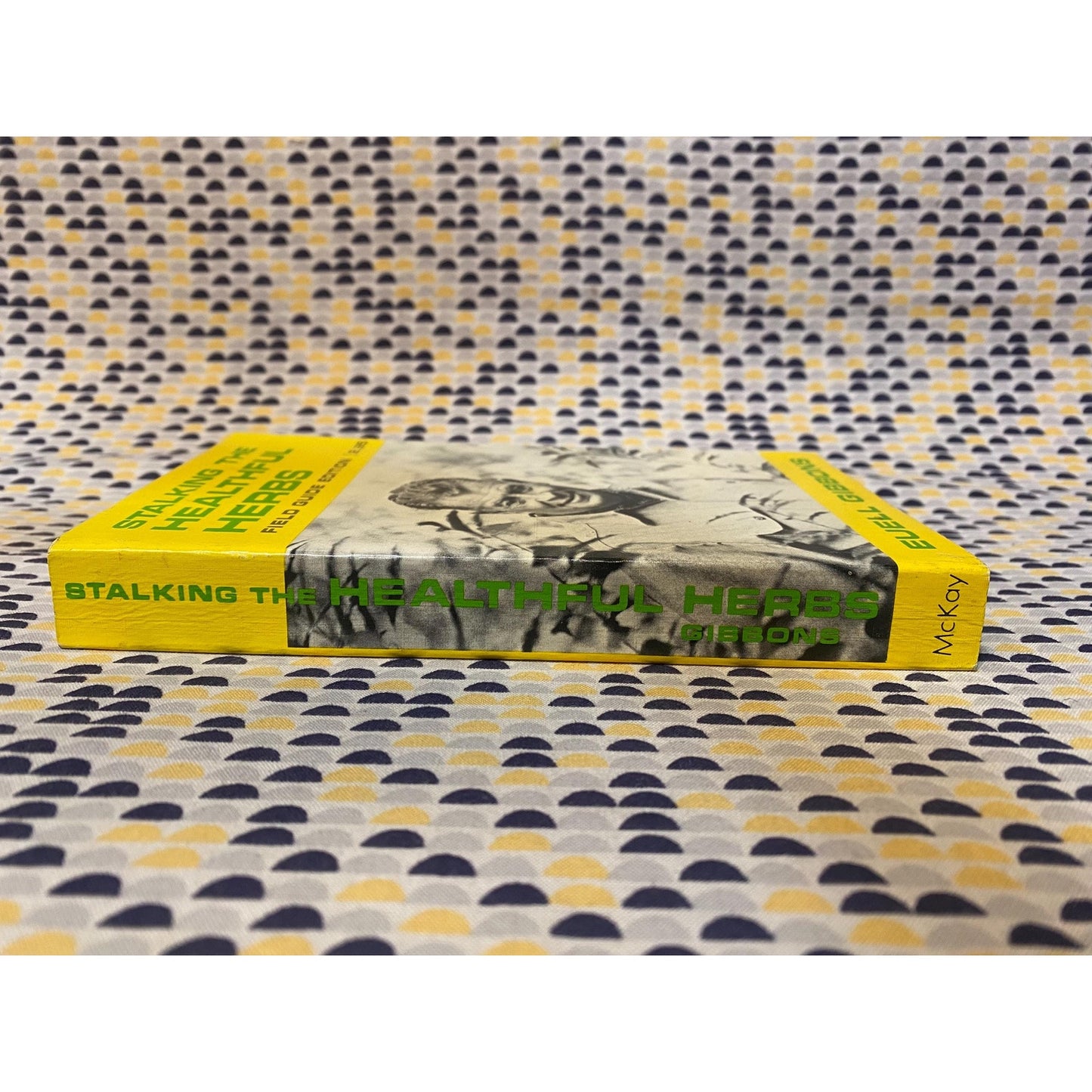 Stalking the Healthful Herbs - Field Guide Edition - Euell Gibbons - Paperback