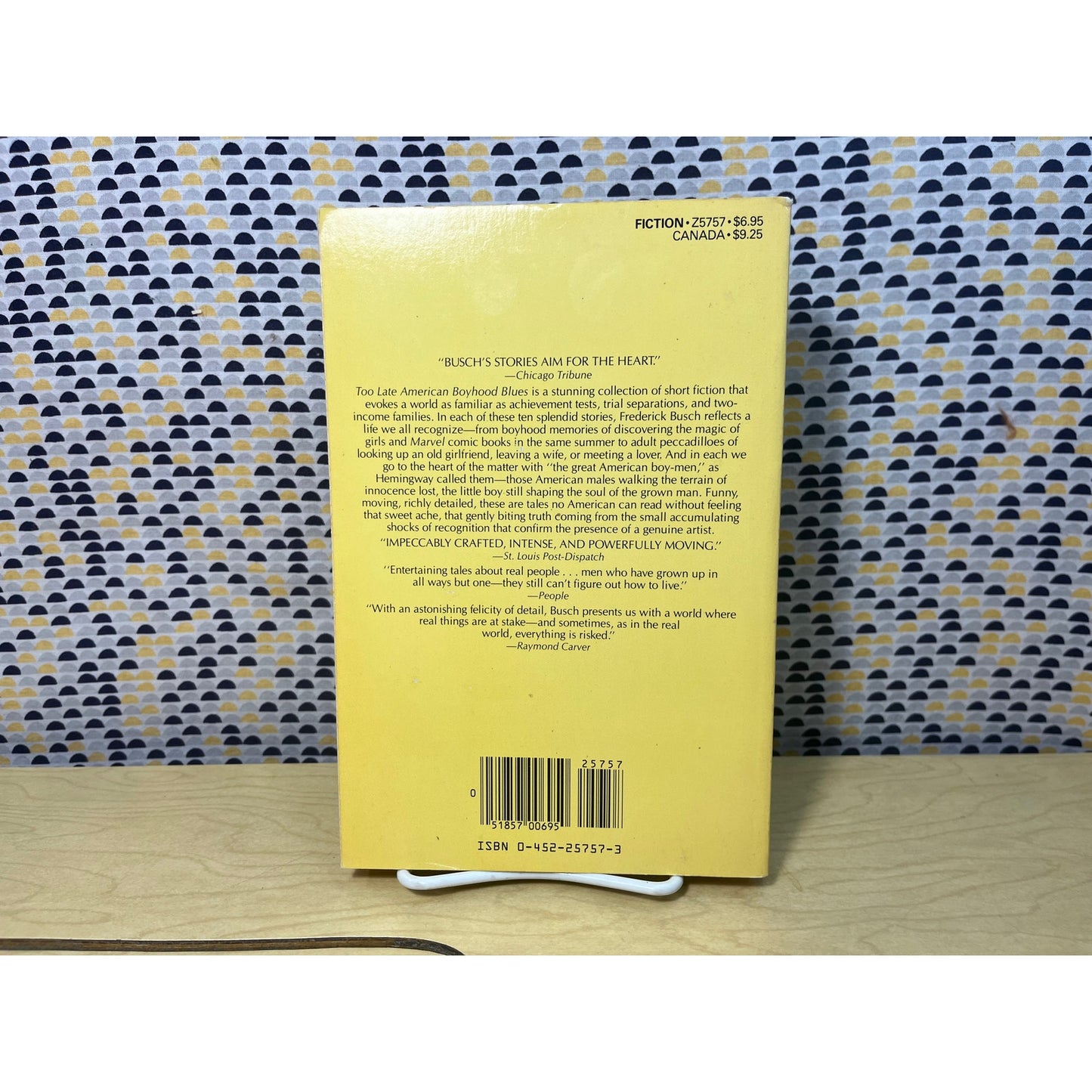 Too Late American Boyhood Blues - Frederick Busch - Plume Books - Paperback