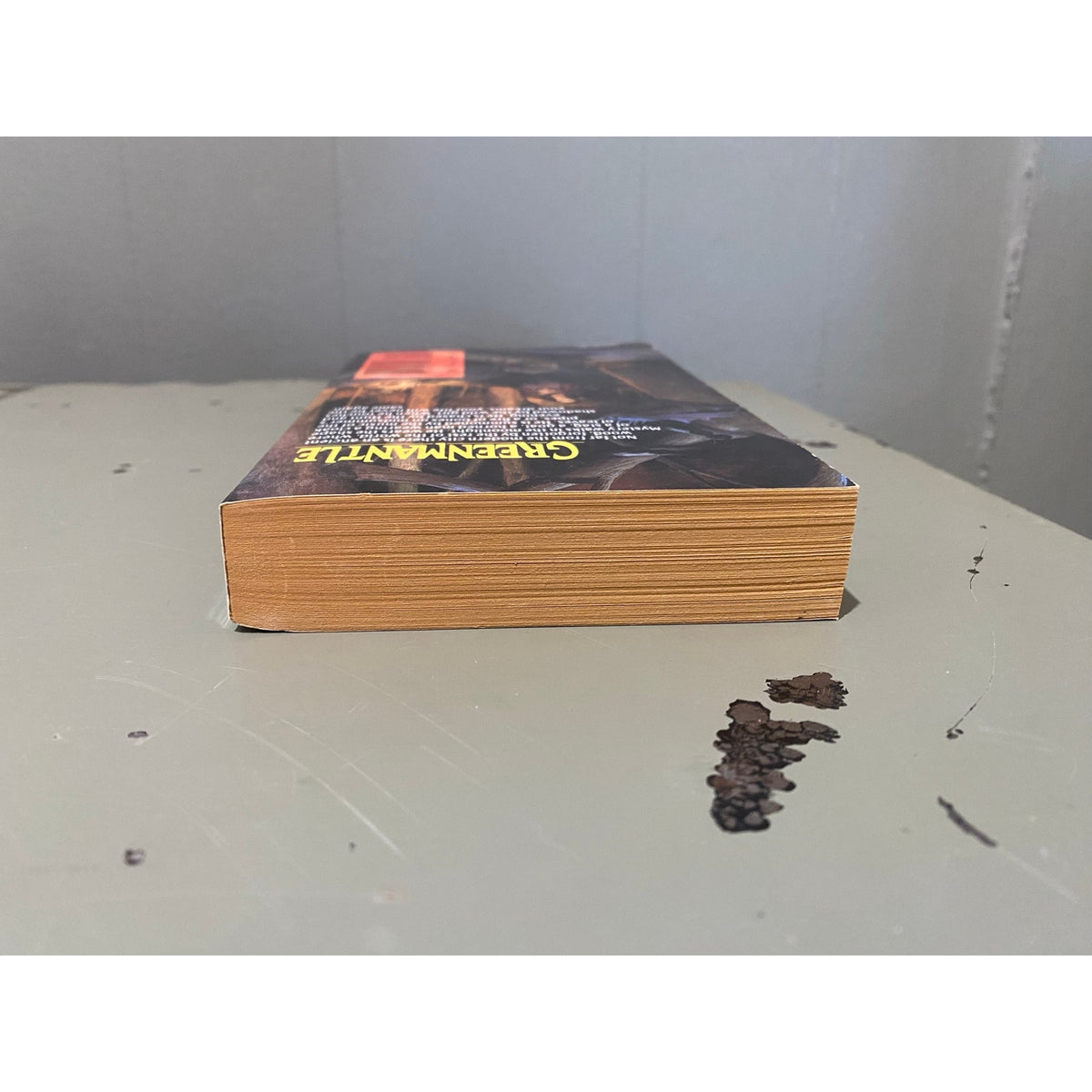 Greenmantle - Charles de Lint - Ace - Paperback