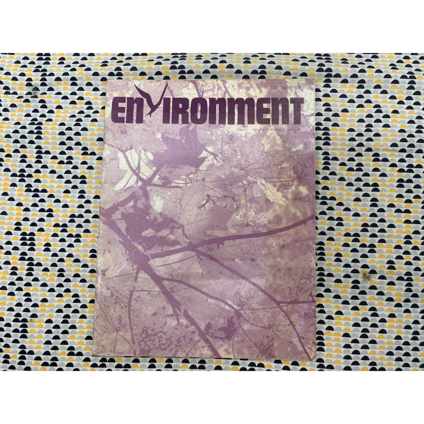 Environment Magazine  - September 1970 - Vintage Ecology