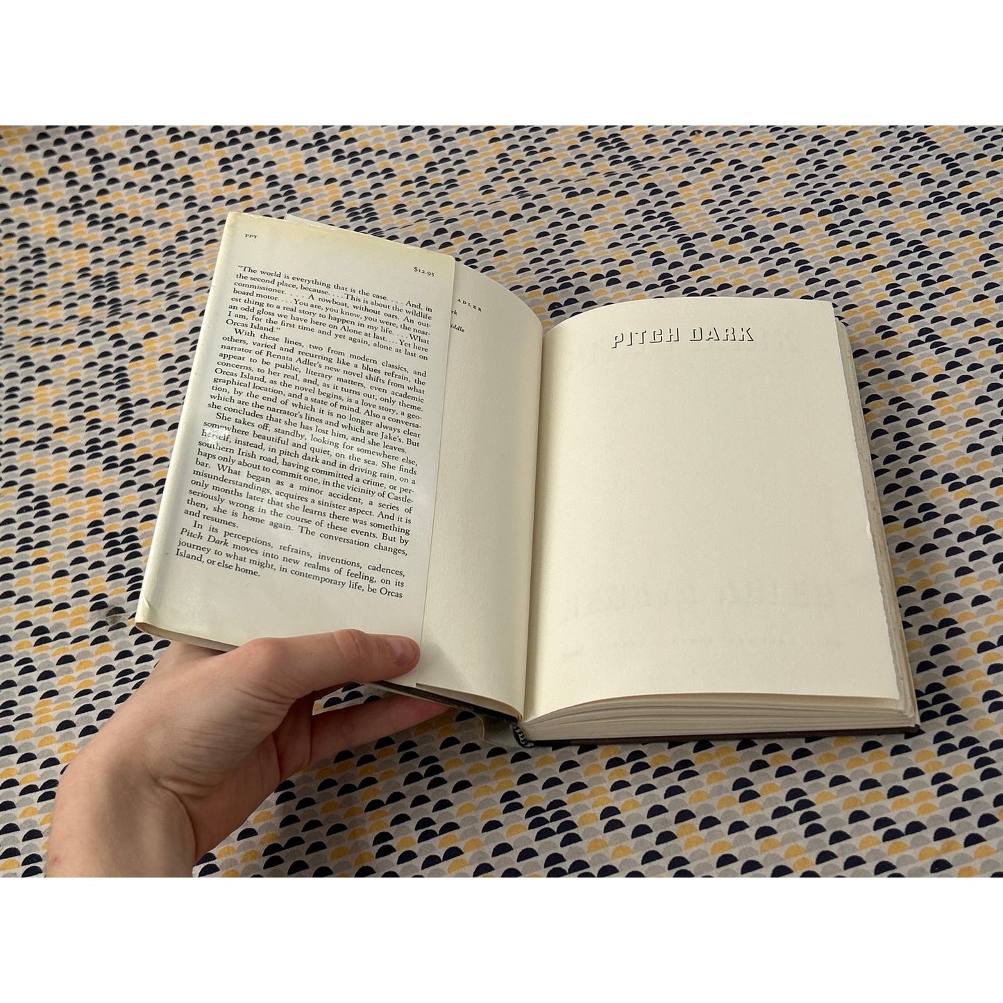 Pitch Dark - Renata Adler - Knopf - Hardcover - 1st Edition