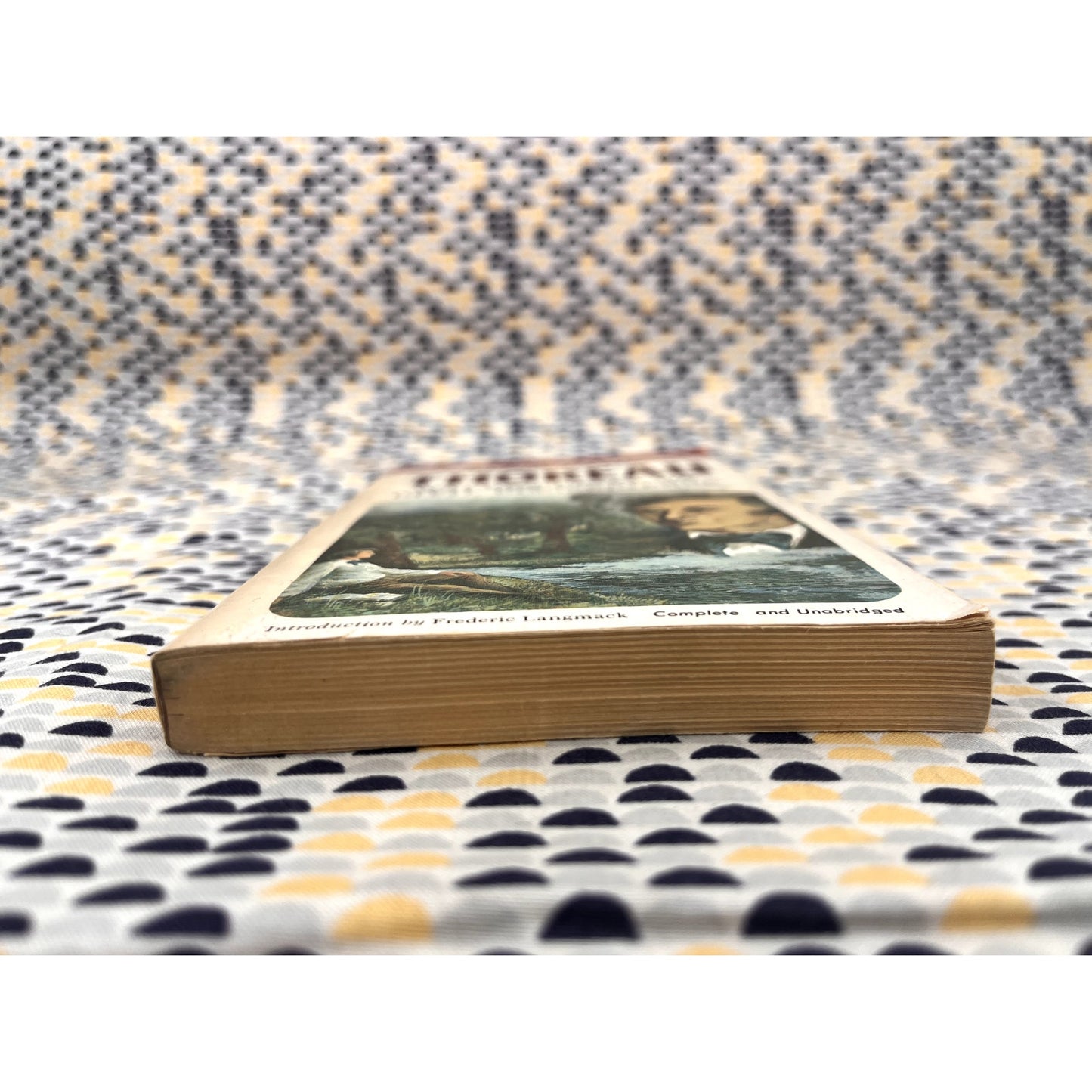 Walden-Essay on Civil Disobedience - Henry David Thoreau - Airmont Books - Paperback