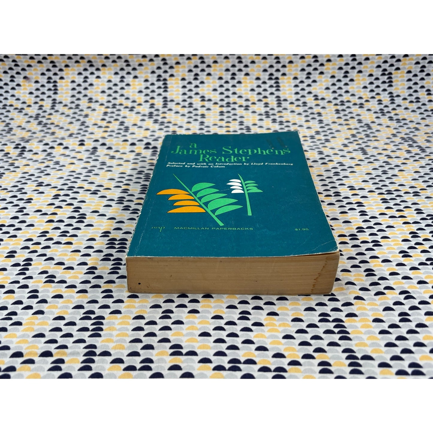 A James Stephens Reader - Macmillan - Paperback