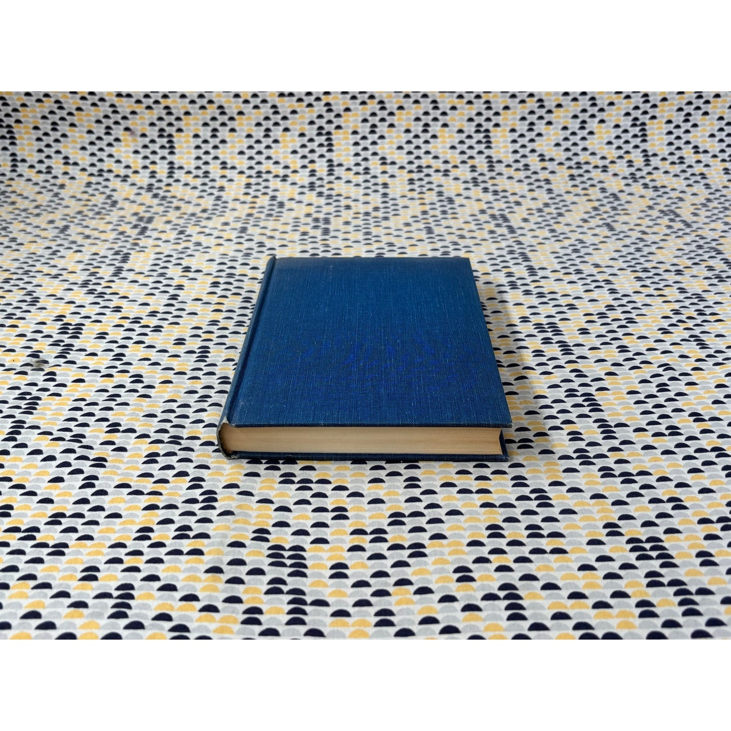 The Penitent - Pietro DiDonato - Hawthorn - Hardcover
