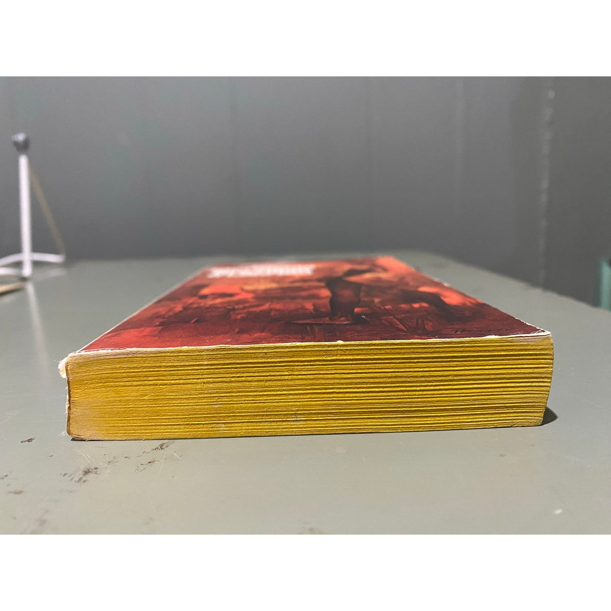 The Incredible Brazilian - Zulfikar Ghose - Bantam - Paperbacks