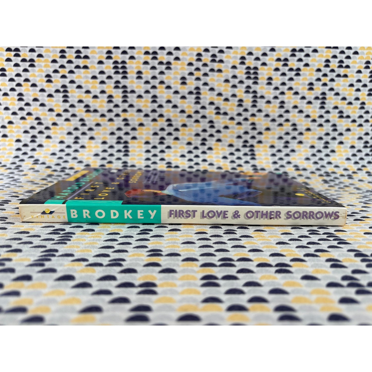 First Love & Other Sorrows - Harold Brodkey - Vintage Contemporaries - Paperbacks