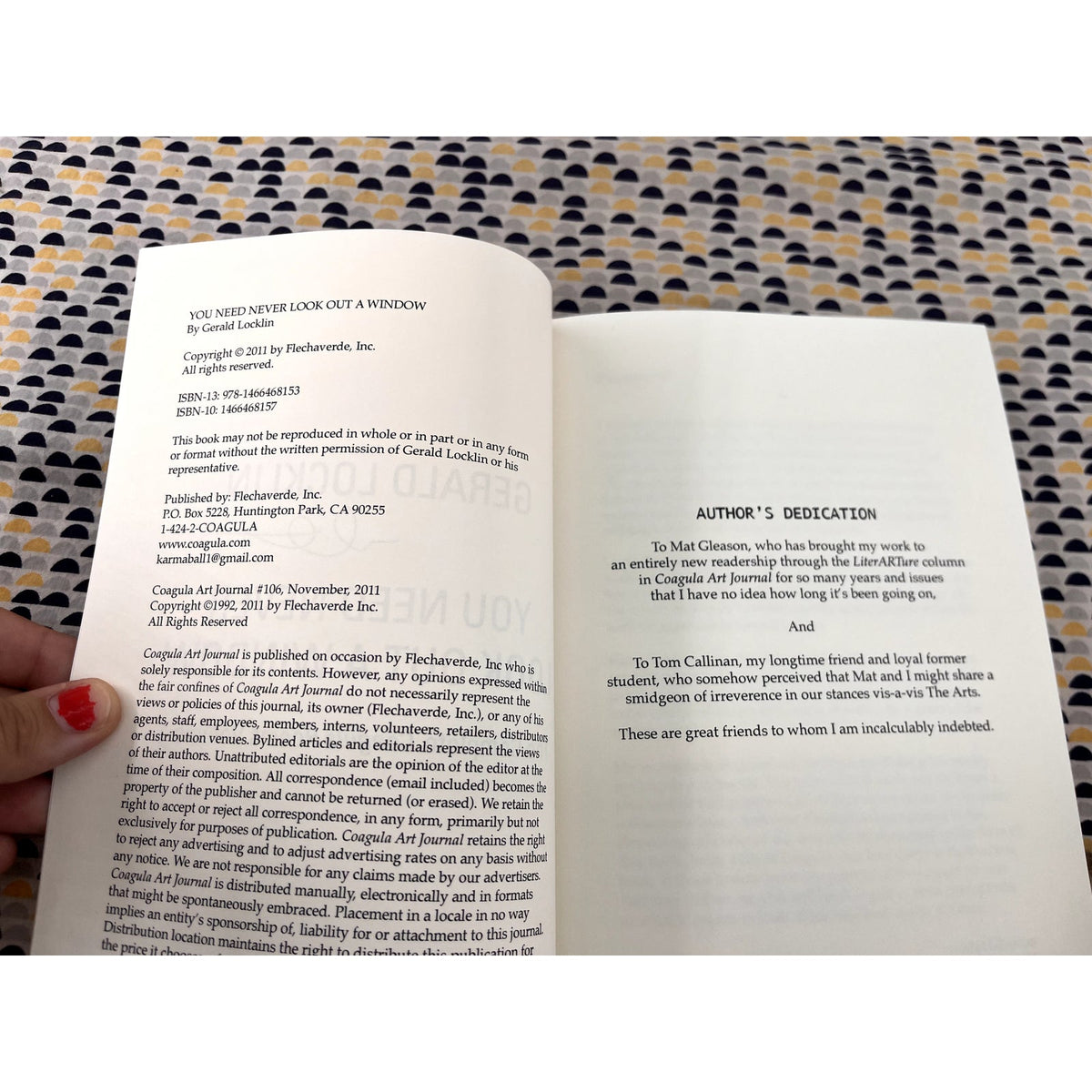 You Never Need Look Out a Window - The Complete Coagula Poems Volume 1 - Gerald Locklin - Flechaverde Books - Paperback