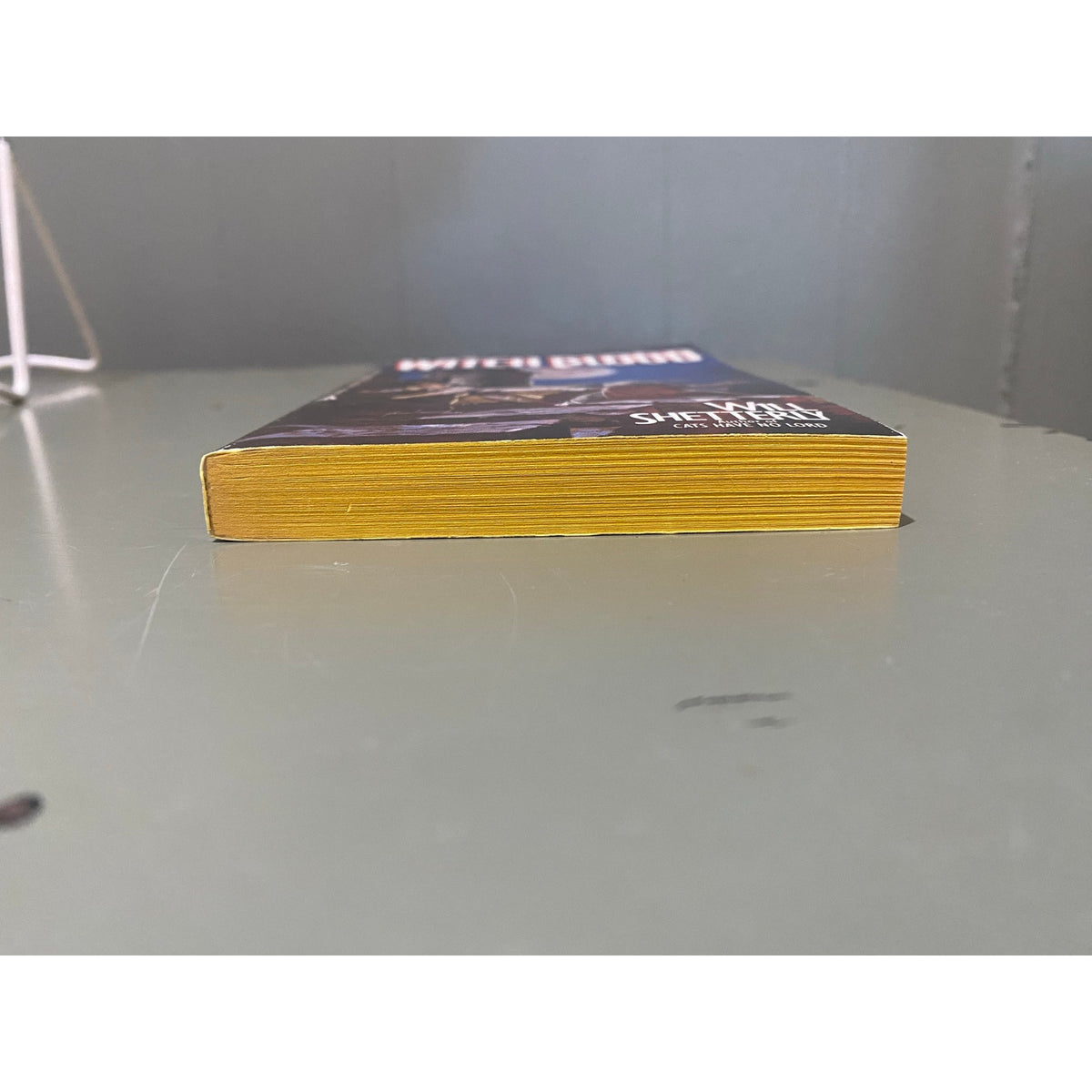 Witch Blood - Will Shetterly - Ace - Paperback