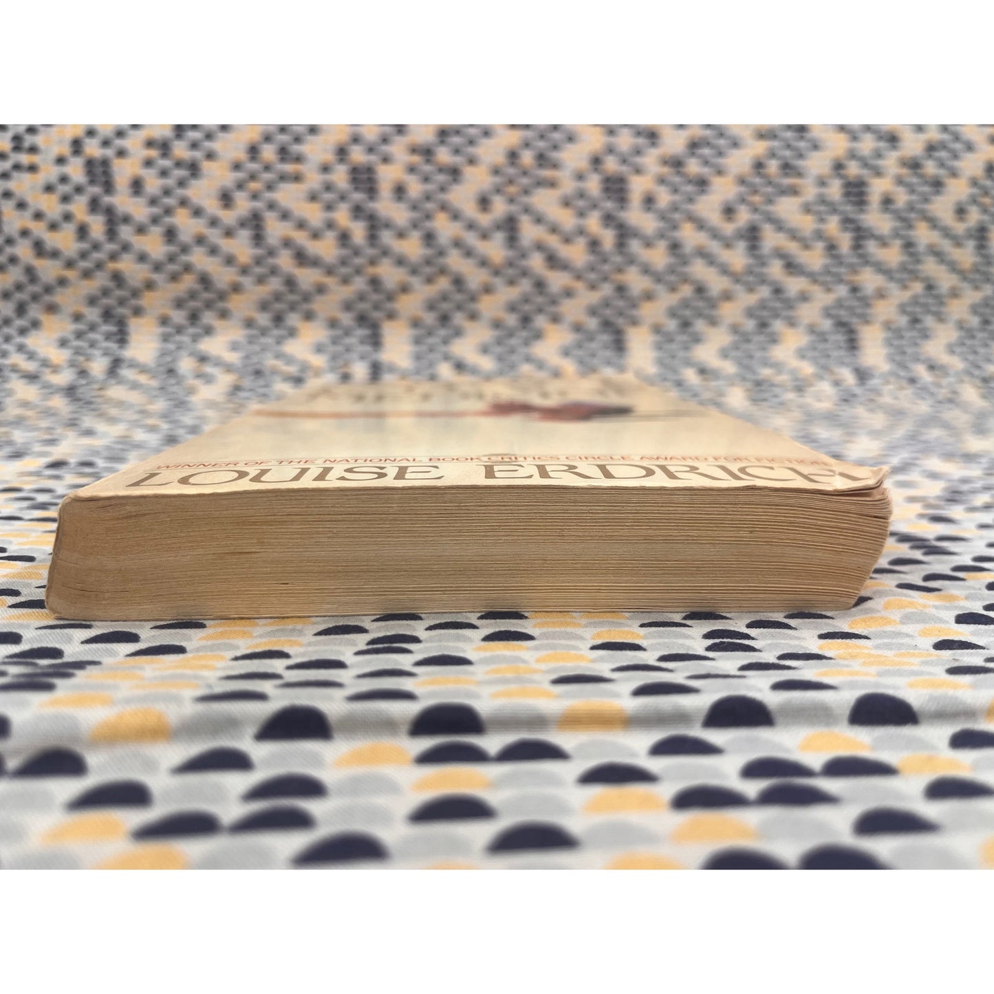 Love Medicine - Louise Erdrich - Bantam Books - Paperback