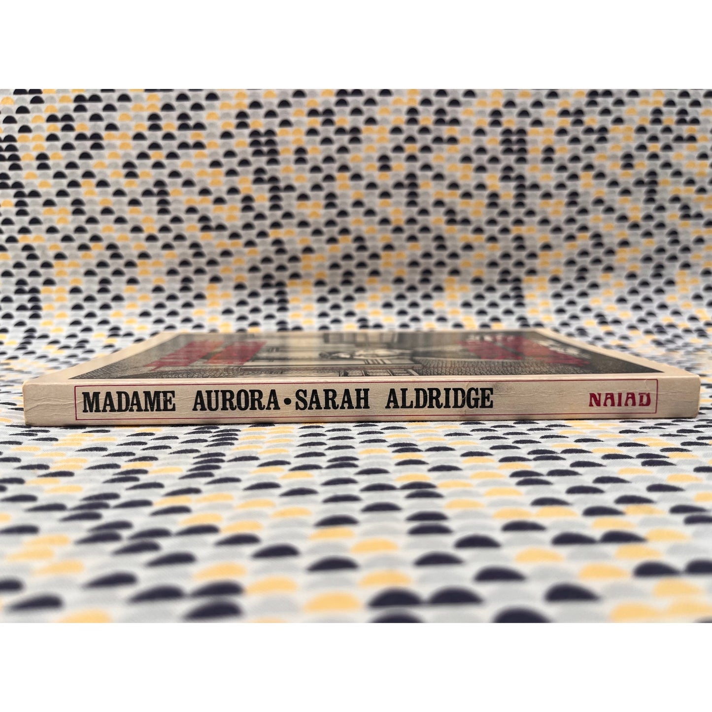 Madame Aurora - Sarah Aldridge - Naiad Press -  Paperback