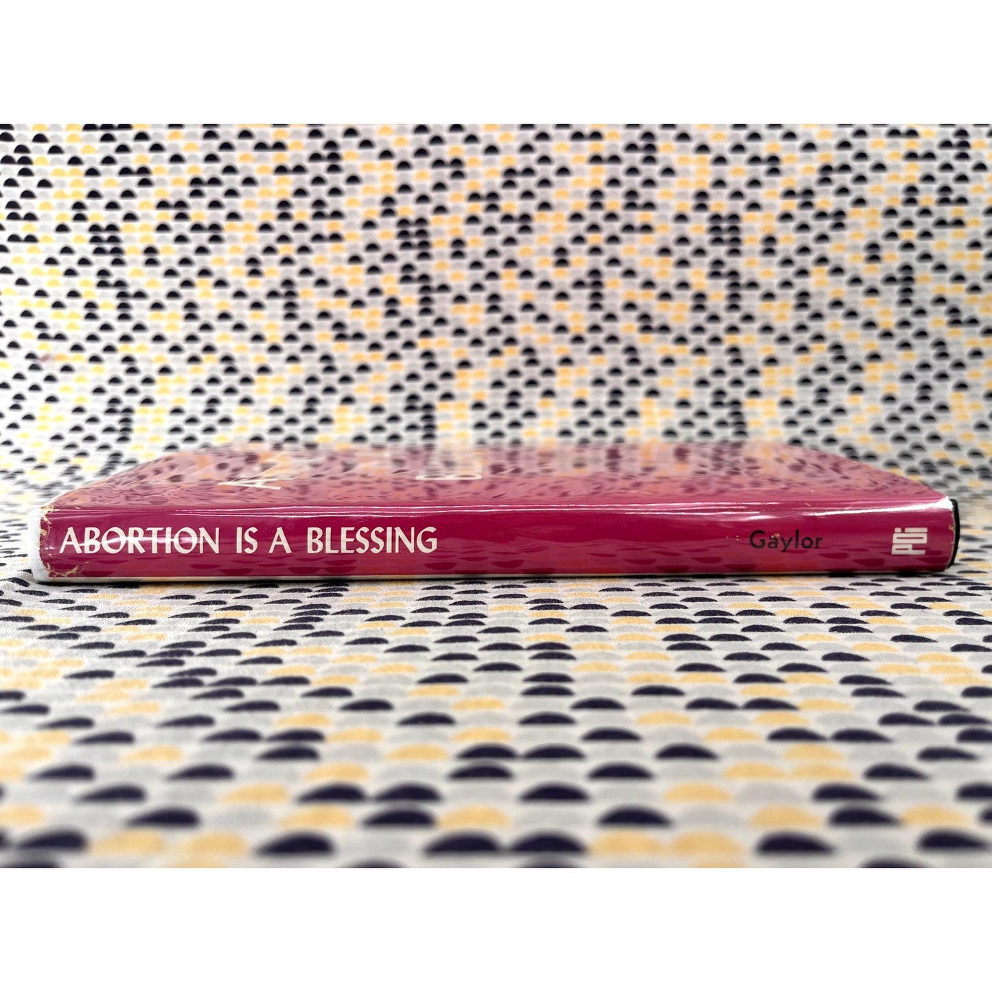 Abortion is a Blessing - Anne Nicol Gaylor - PDI Books - Hardcover