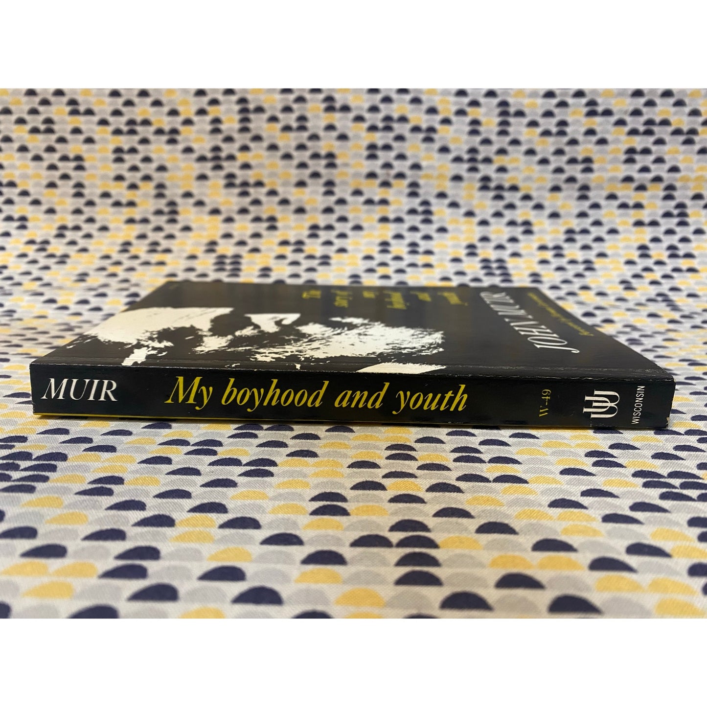 John Muir - The Story of My Boyhood and Youth - Vintage Paperback Book - Houghton Mifflin Edition