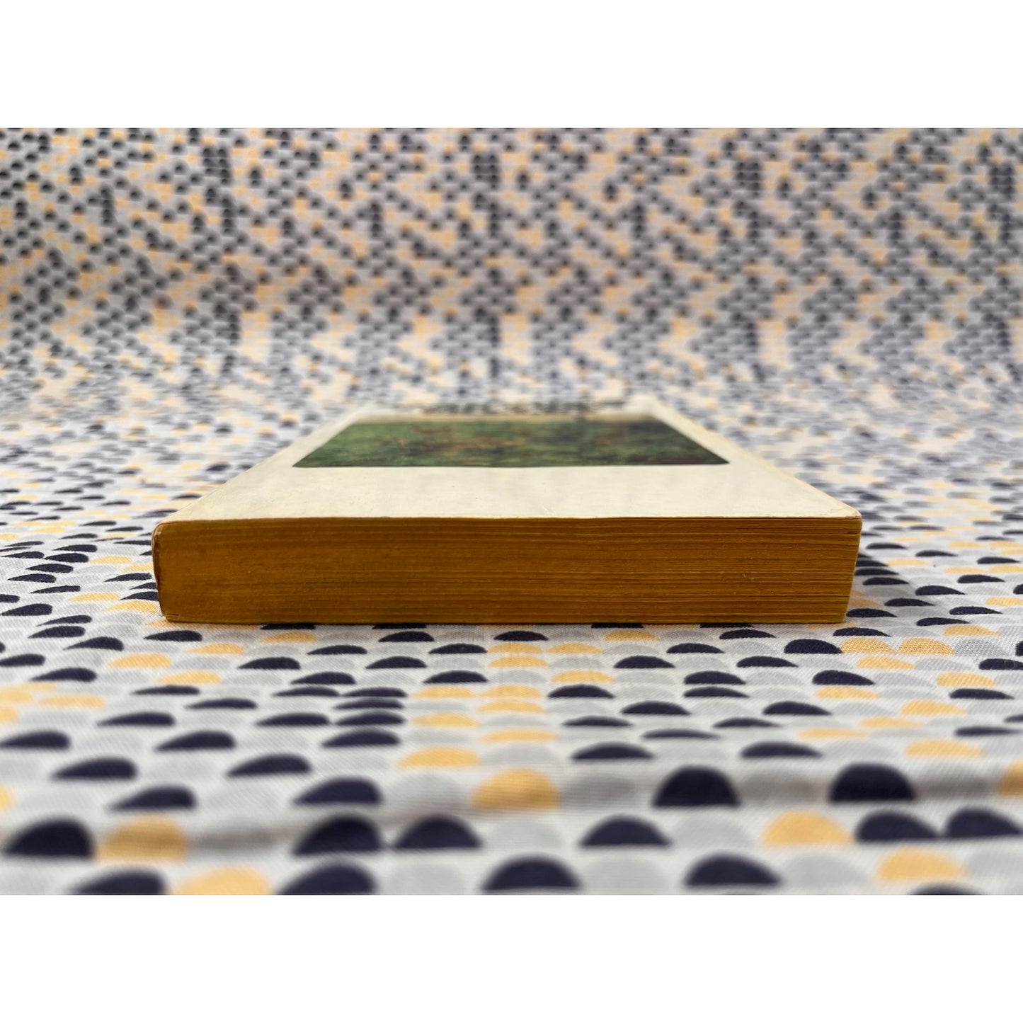 The Long Valley - John Steinbeck - Bantam Books - Paperback