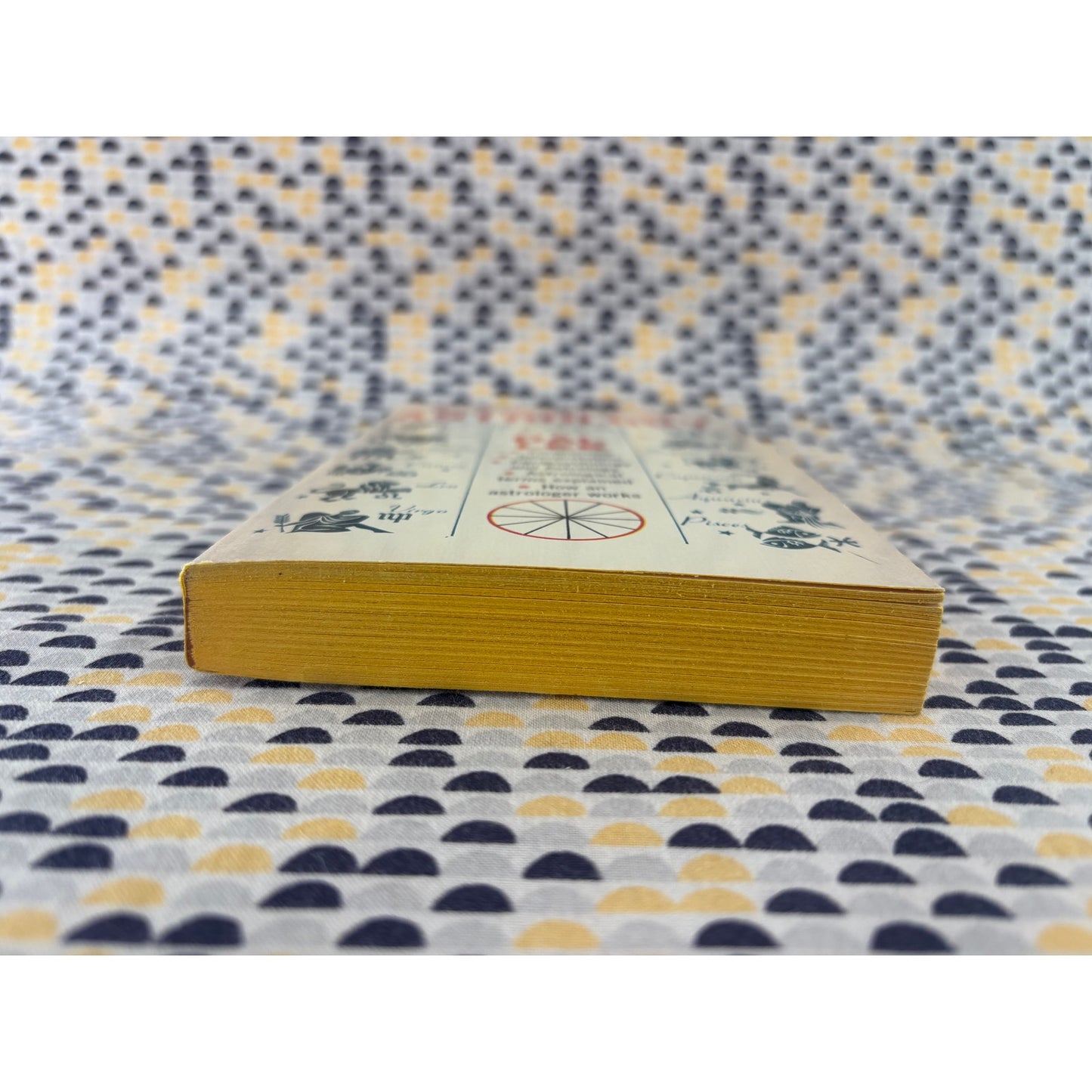 Dictionary Of Astrology - Dal Lee - Paperback Library - Paperback