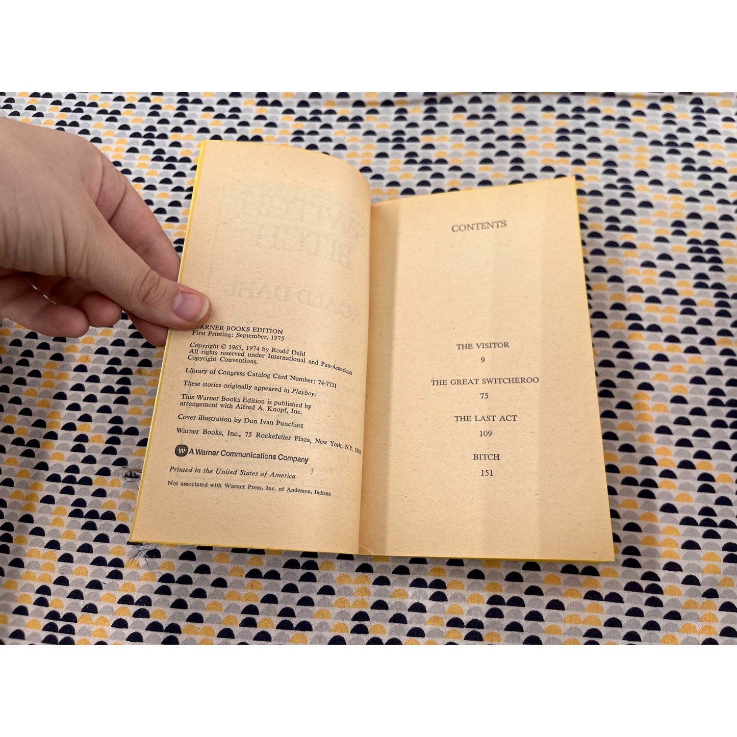 Switch Bitch - Ronald Dahl - Warner Books - Paperback