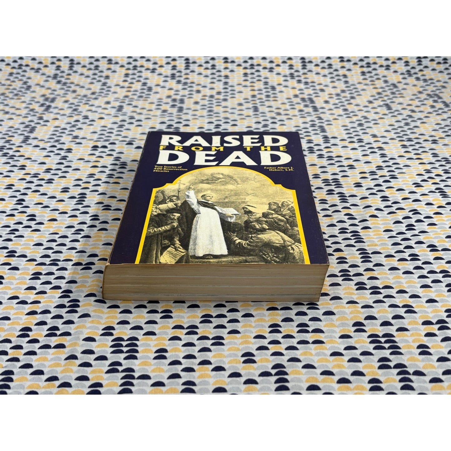 Raised From the Dead - Albert J. Herbert - Tan Books - Paperback