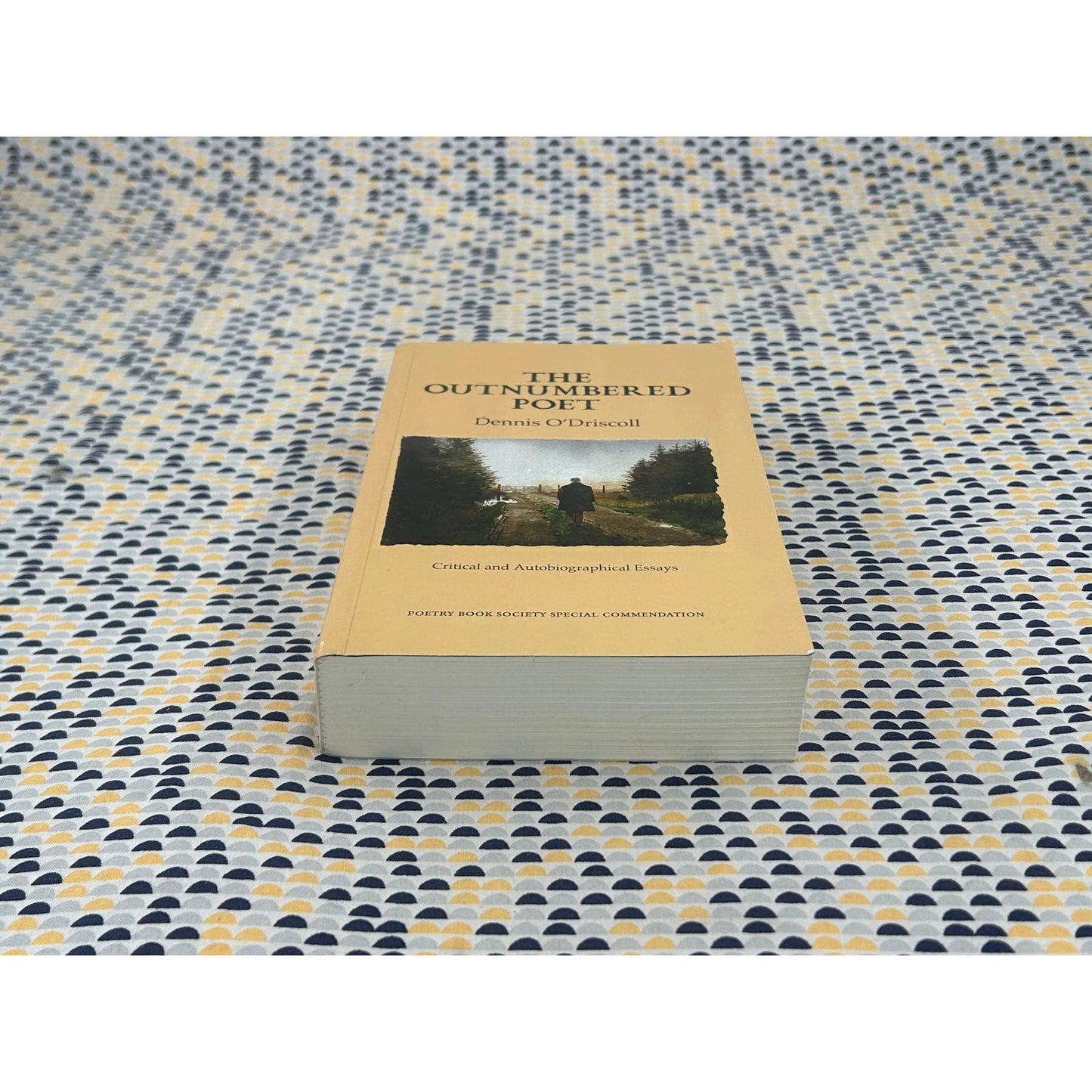 The Outnumbered Poet - Dennis O’Driscoll - Gallery Books - Paperback