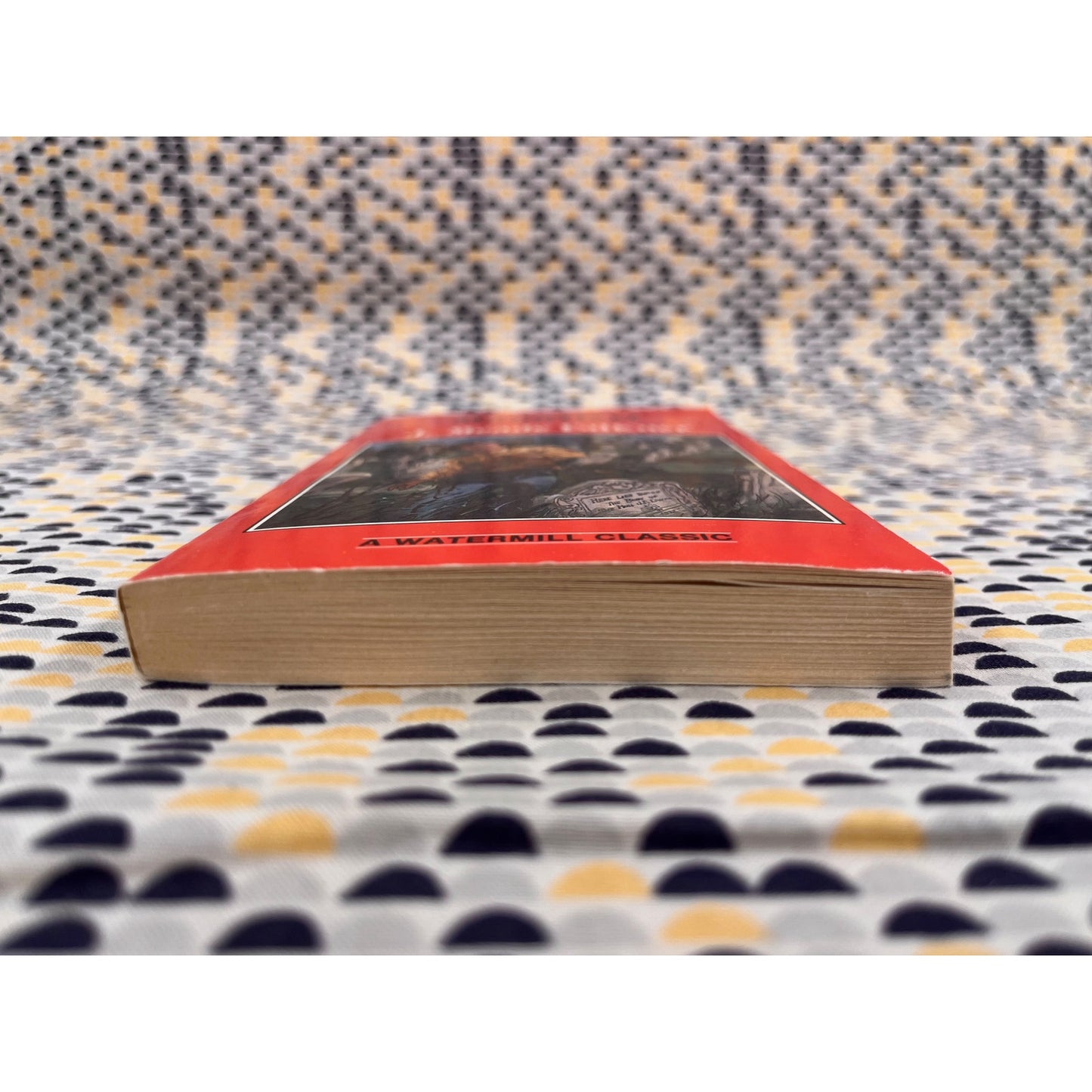 Moonfleet - J. Meade Falkner - Watermill Classic - Paperback