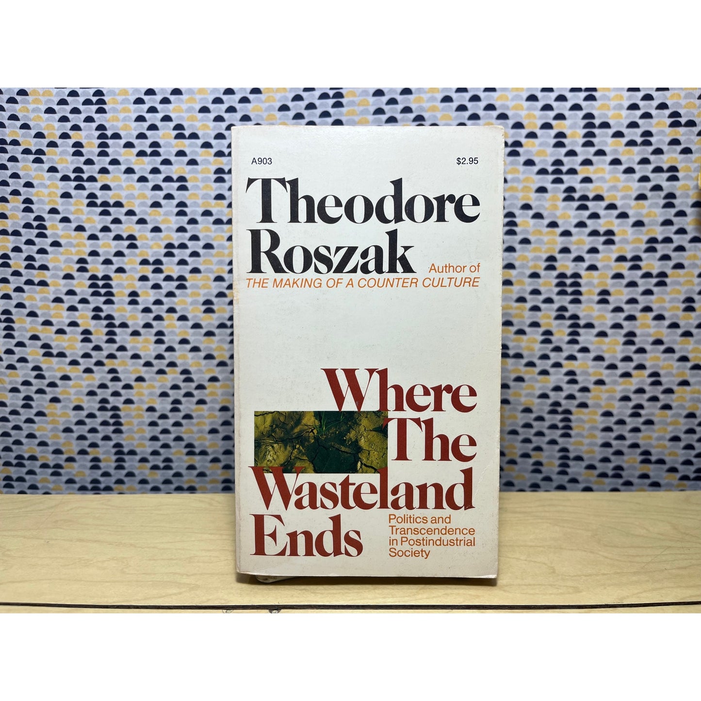 Where the Wasteland Ends - Theodore Roszak - Anchor Books - Paperback