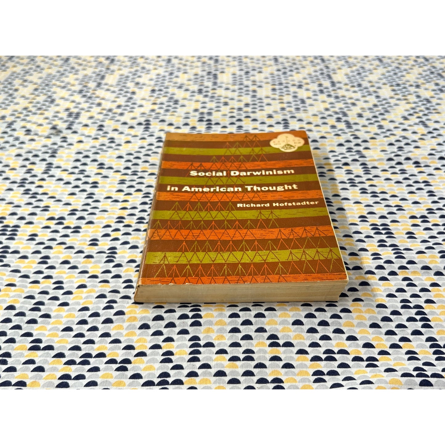 Social Darwinism in American Thought - Richard Hofstadter - Vintage Paperback Book - Beacon Press