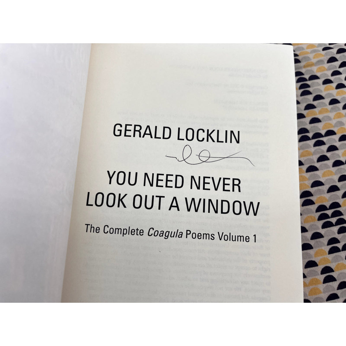 You Never Need Look Out a Window - The Complete Coagula Poems Volume 1 - Gerald Locklin - Flechaverde Books - Paperback