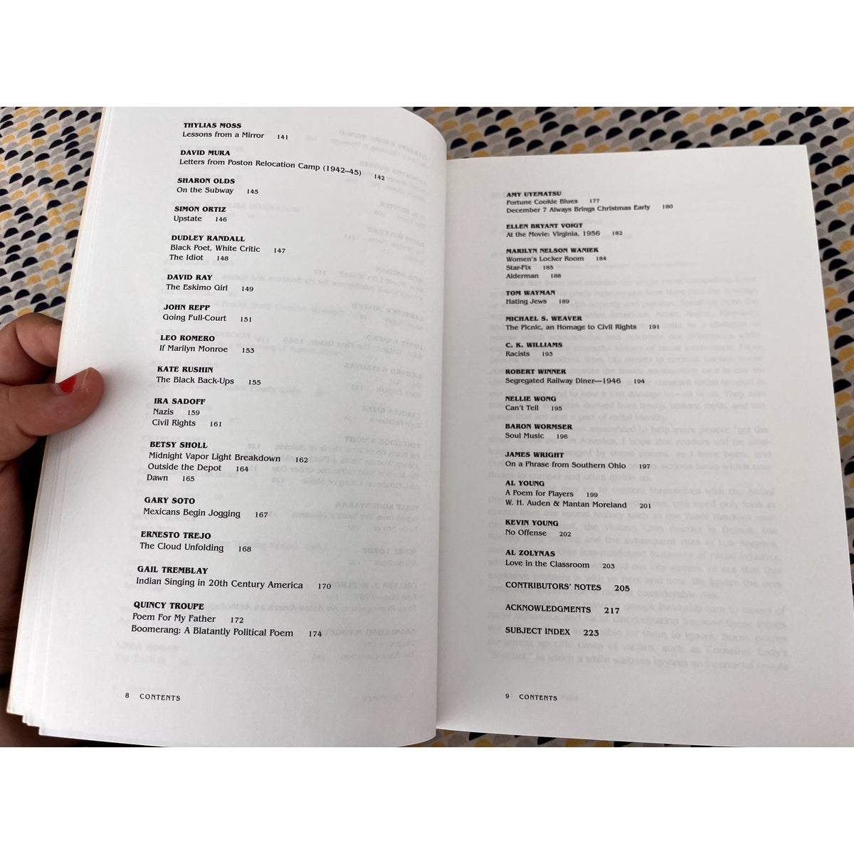 Letters to America: Contemporary American Poetry on Race - Ed. Jim Daniels - Wayne State Press - Paperback