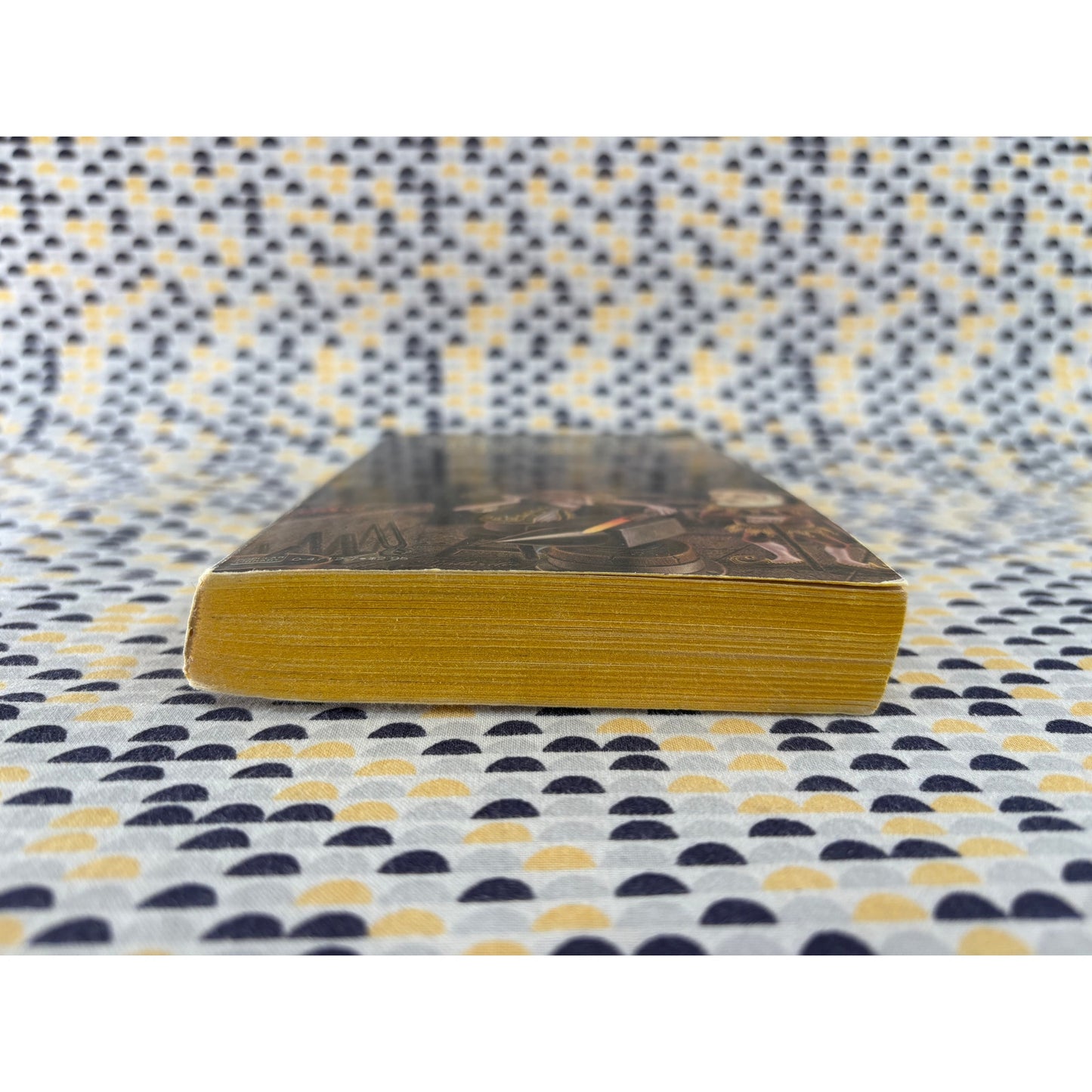 The Plains Of The Sea - Wilderness of Four #2 - Niel Hancock - Popular Library - Paperback