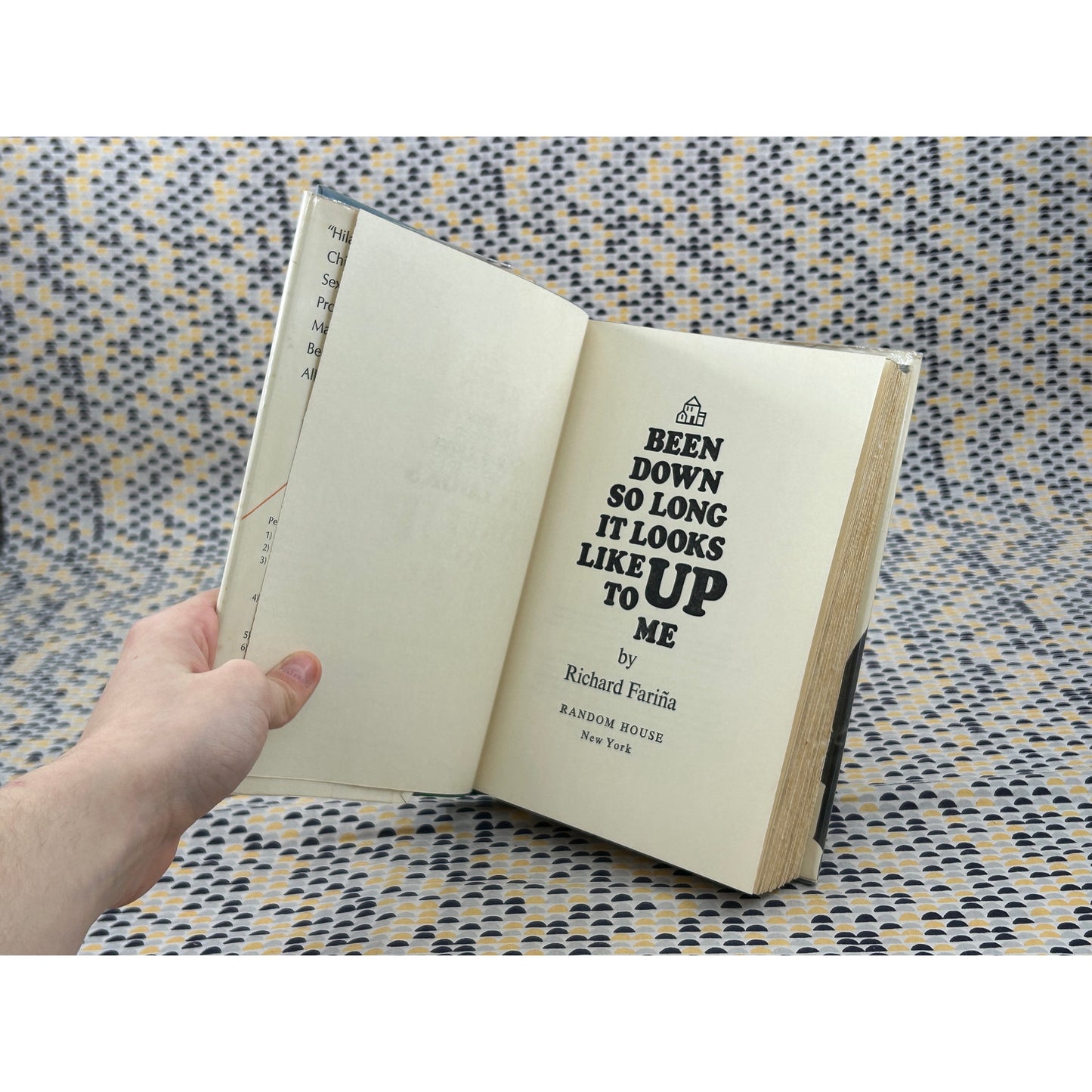 Been Down So Long It Looks Like Up To Me - Richard Farina - 1st Edition 1st Printing - Random House - Hardcover