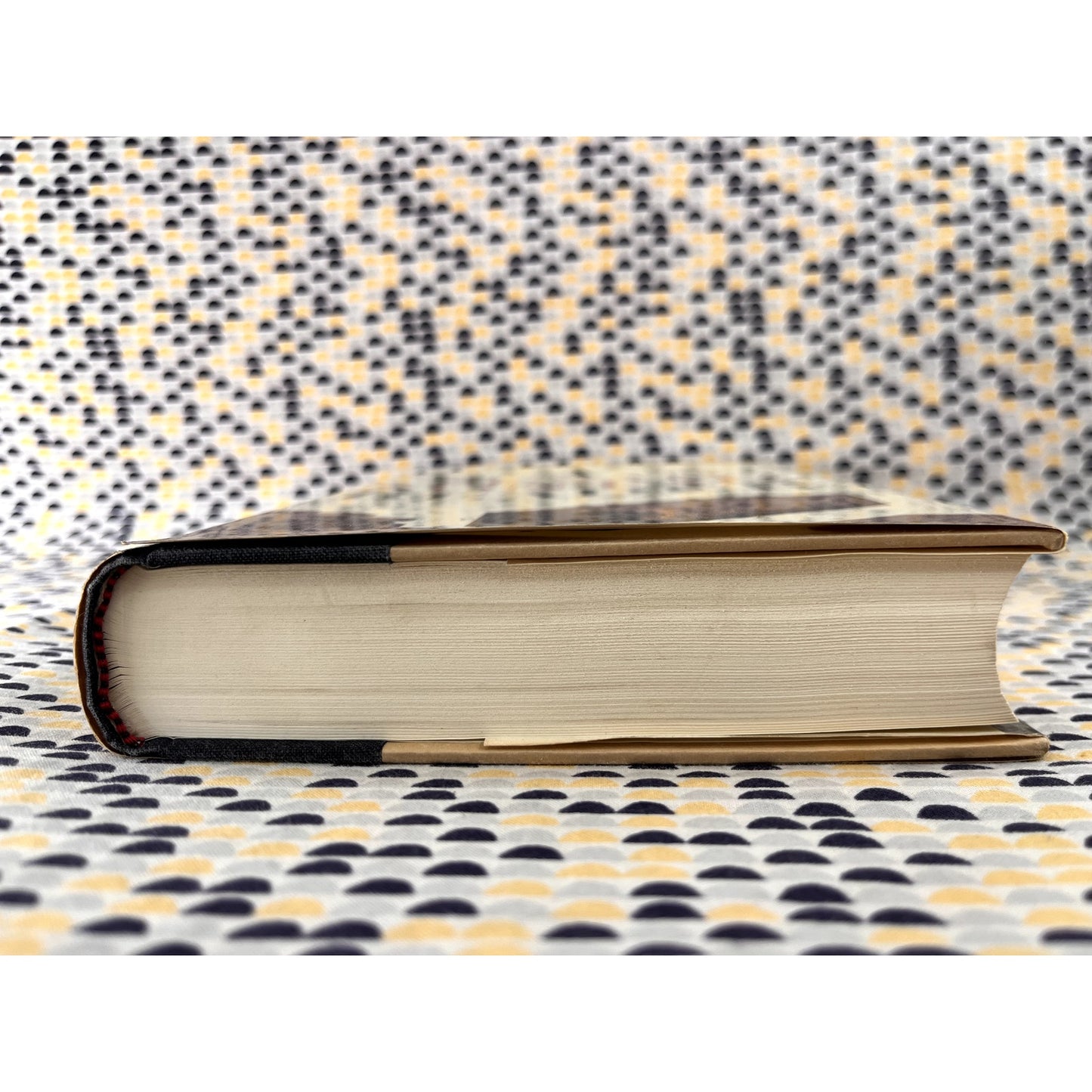 A Susan Sontag Reader - 1st Edition 1st Printing - Farrar, Straus, Giroux Books - Hardcover