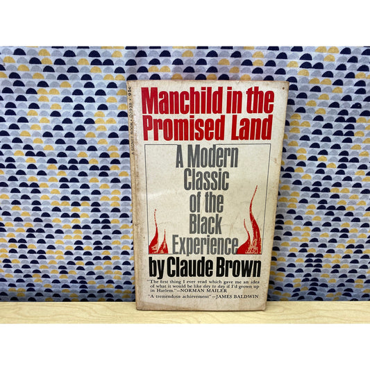Manchild in the Promised Land - Claude Brown - Vintage Paperback- Signet Edition