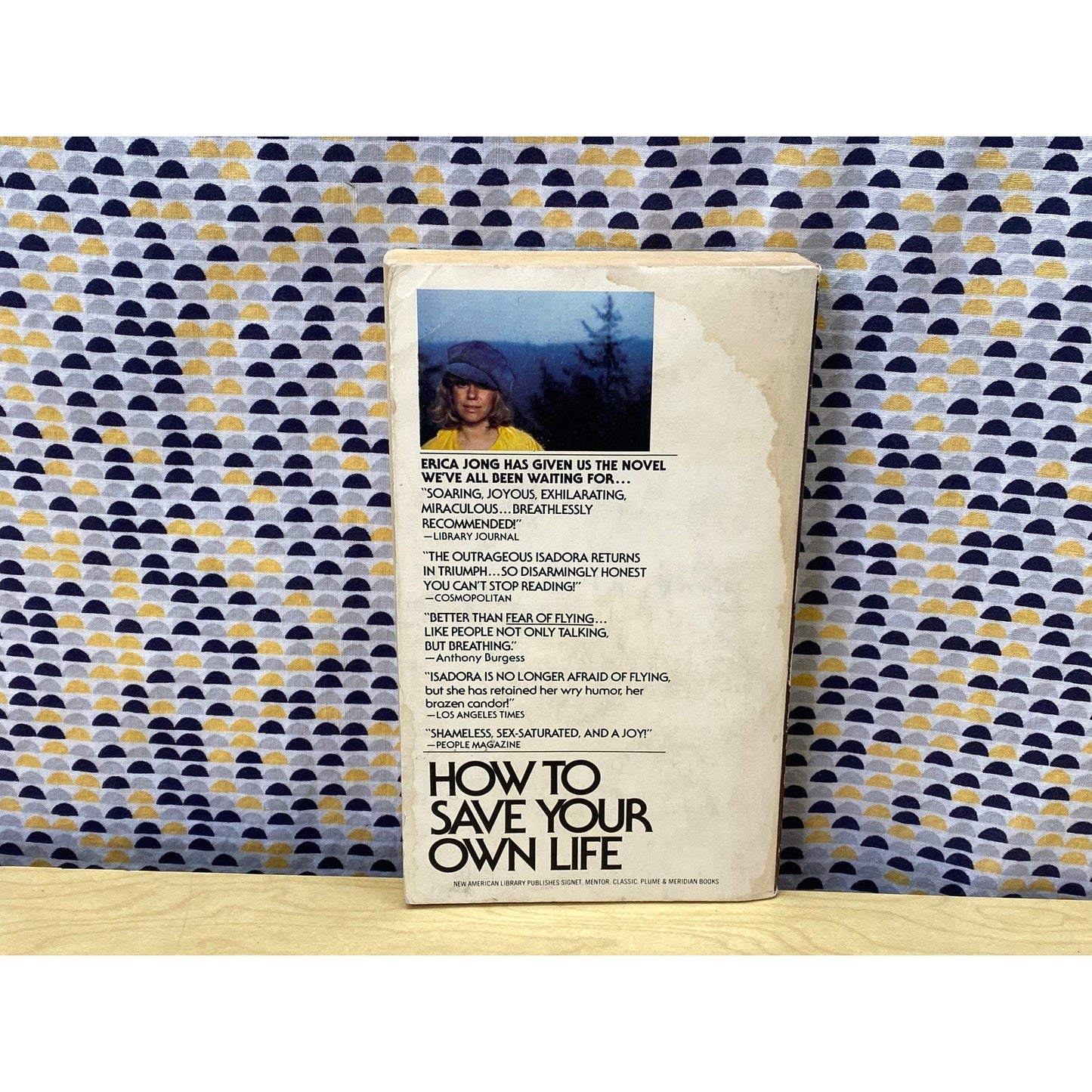 How to Save Your Own Life - Erica Jong - Vintage Paperback Book - Signet Books