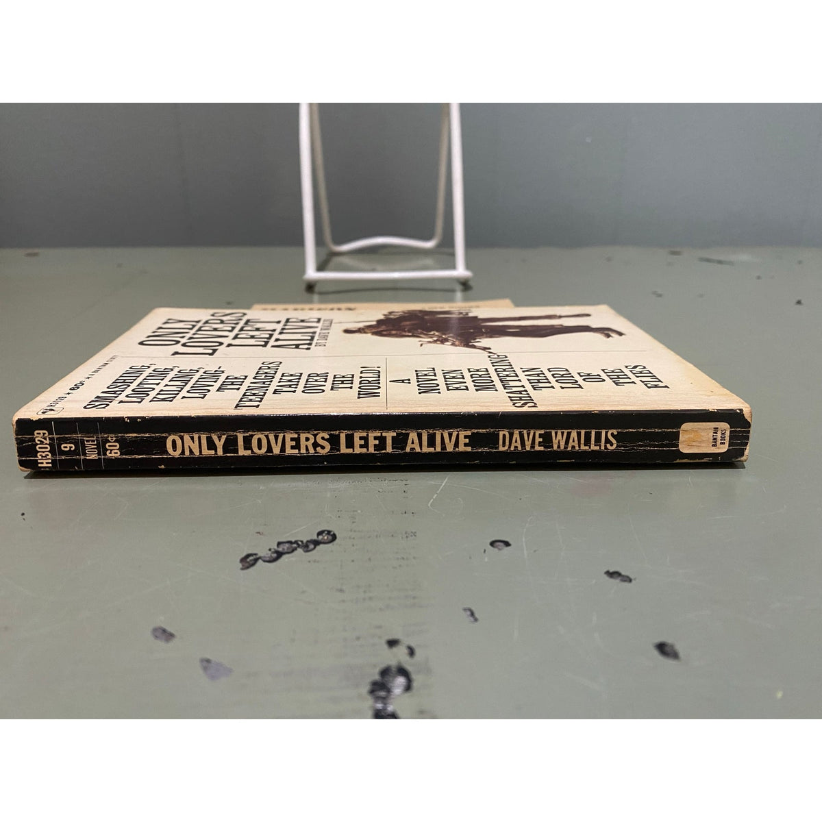 Only Lovers Left Alive - Dave Wallis - Bantam - Paperback