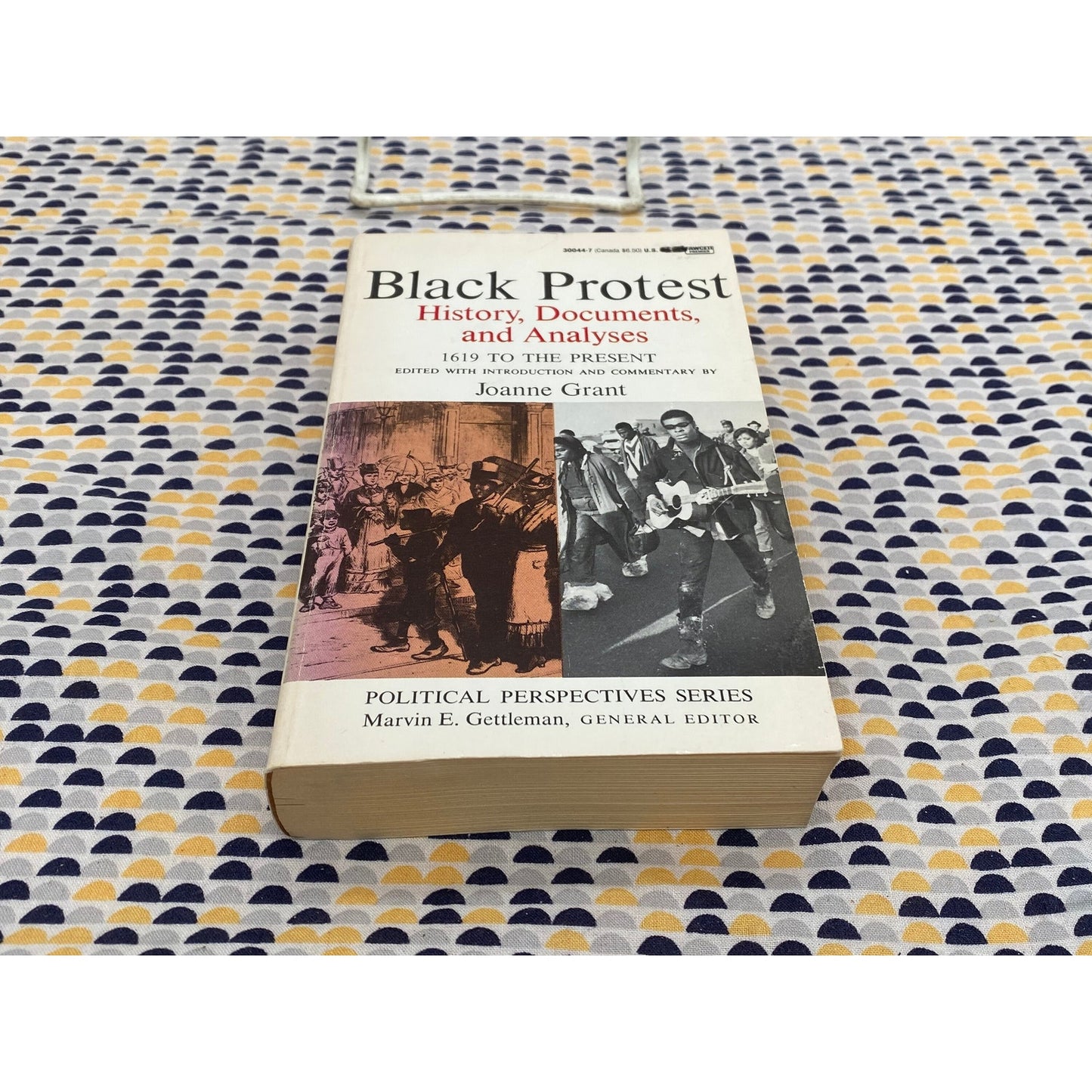 Black Protest - History, Documents, and Analyses - 1619 to Present- Joanne Grant