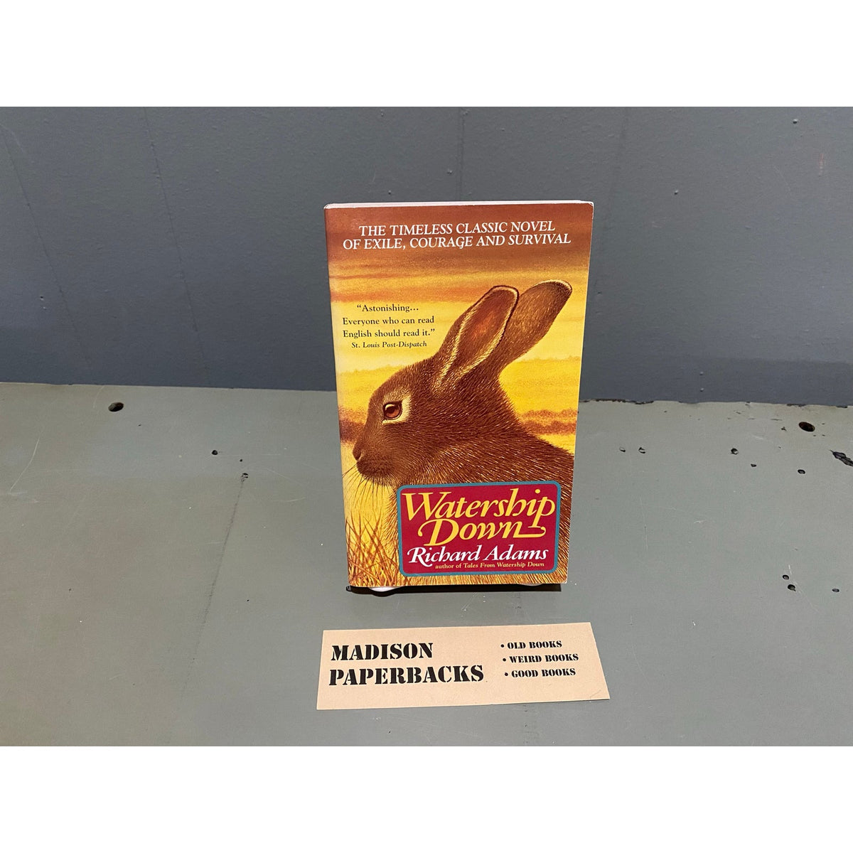 Watership Down - Richard Adams - Vintage Paperback Book - Avon Edition