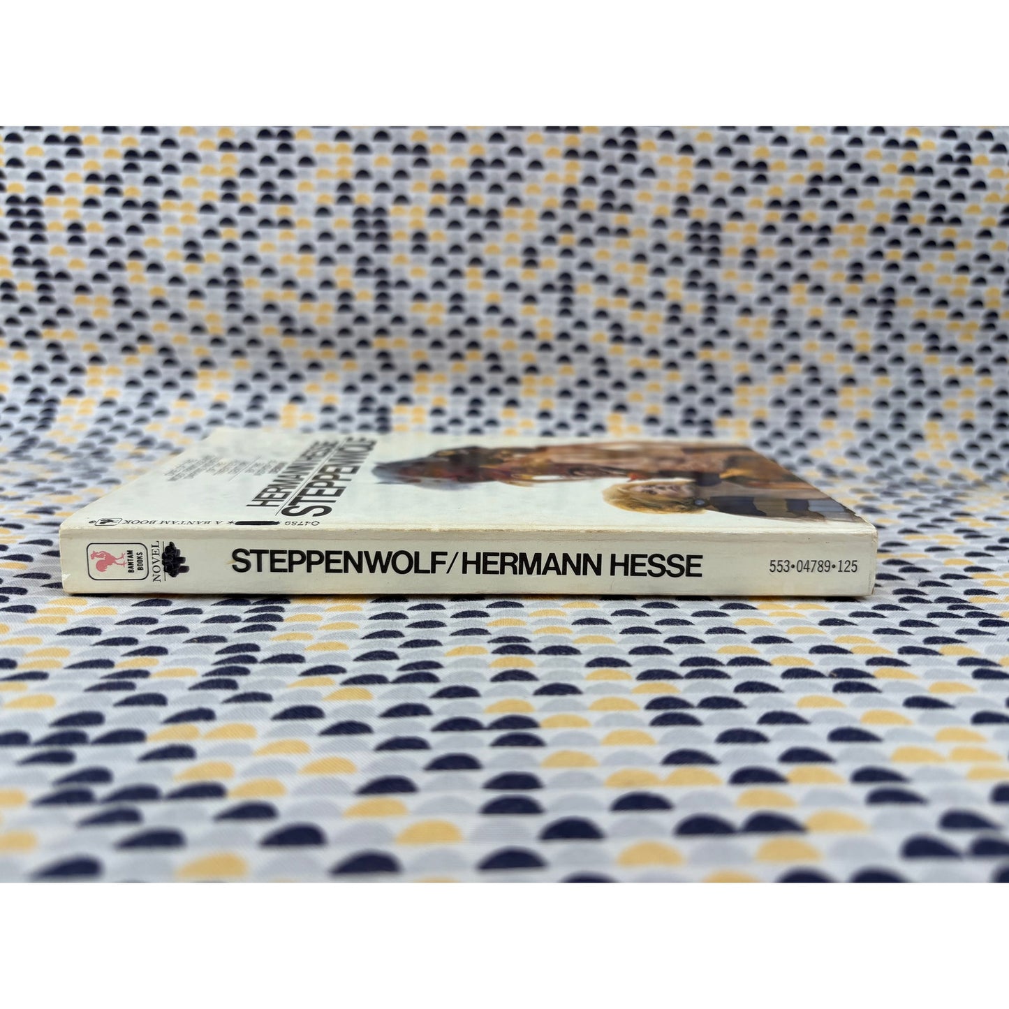 Steppenwolf -  Hermann Hesse - Bantam Edition - Paperback